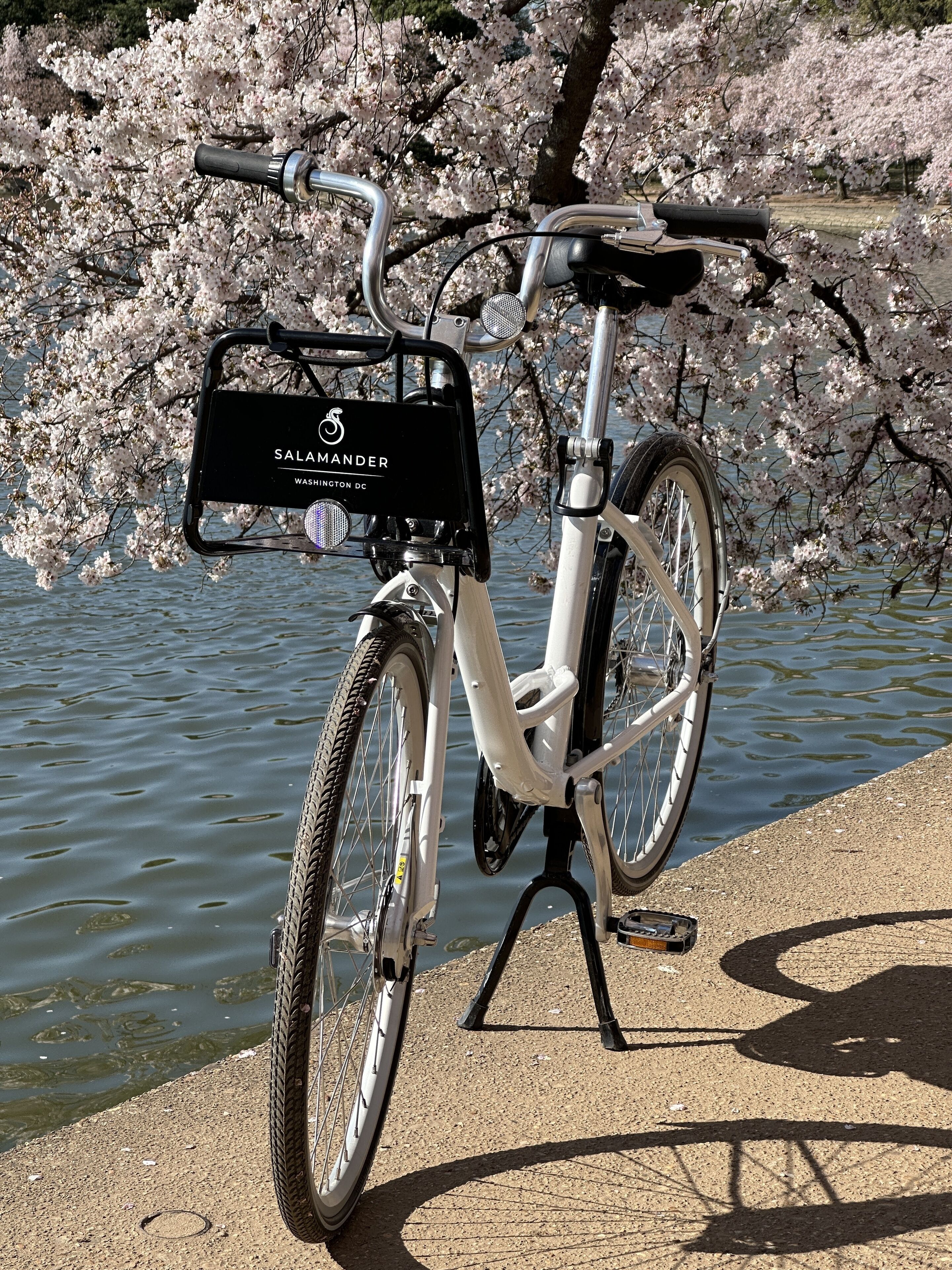 Foto - Salamander Washington DC