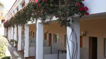 Habitació prèmium | Vista des de l'habitació