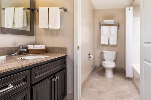 Hair dryer, towels, toilet paper