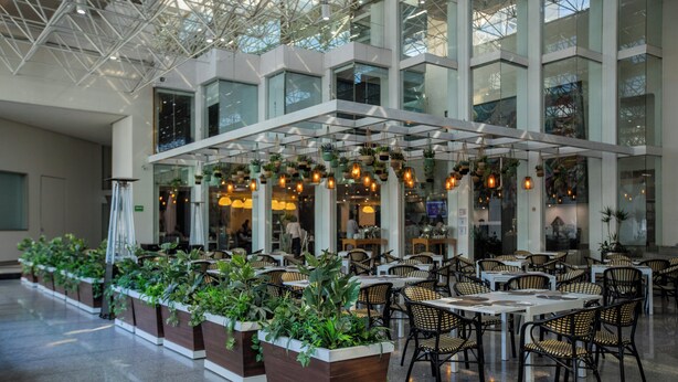 A spacious indoor dining area with multiple tables and chairs, surrounded by planters with greenery.
