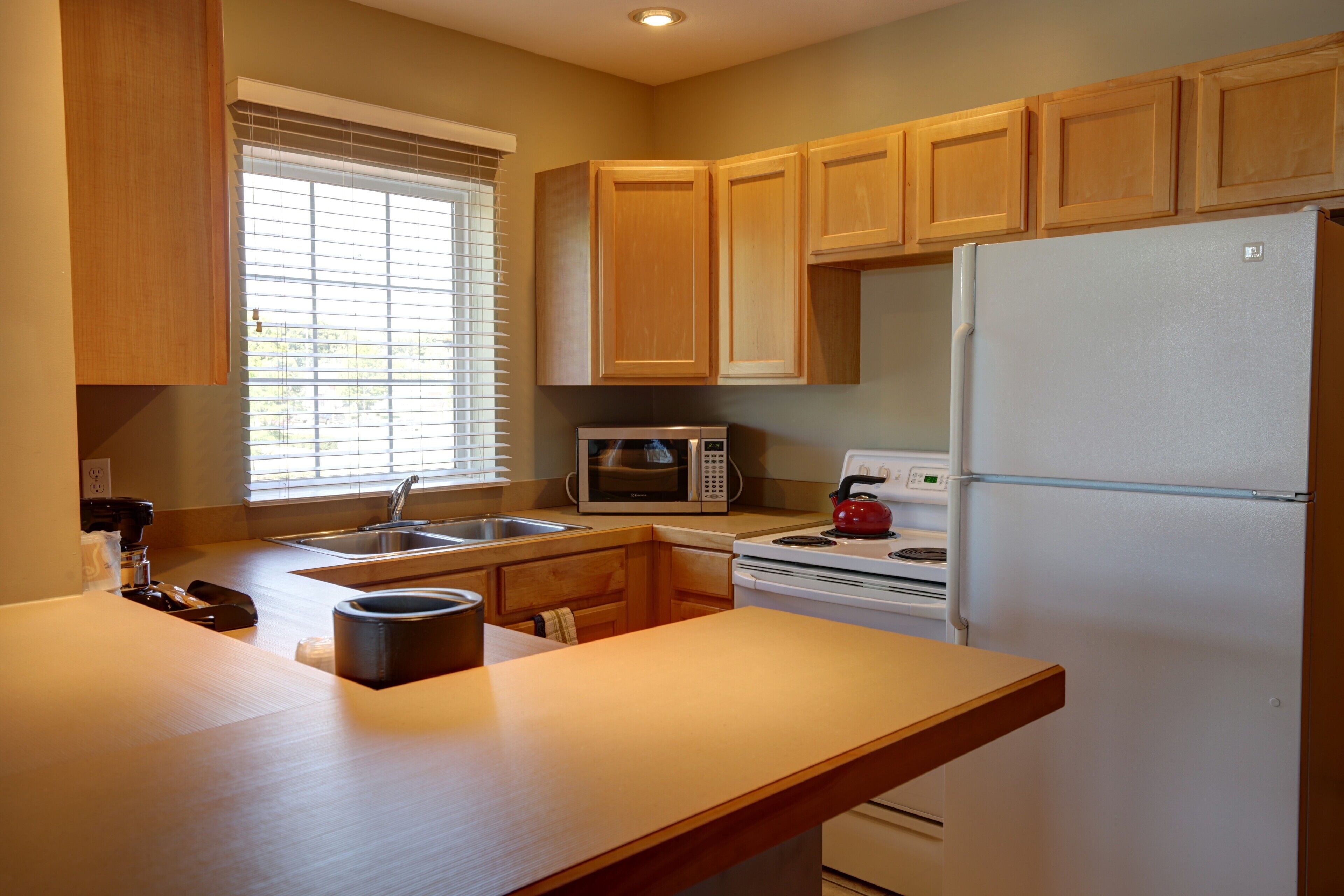 deluxe room, 1 king bed with sofa bed, kitchen, lake view | private kitchen | mini-fridge, microwave, coffee/tea maker, dining tables