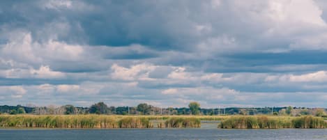 Un río tranquilo con juncos y cielo nublado.