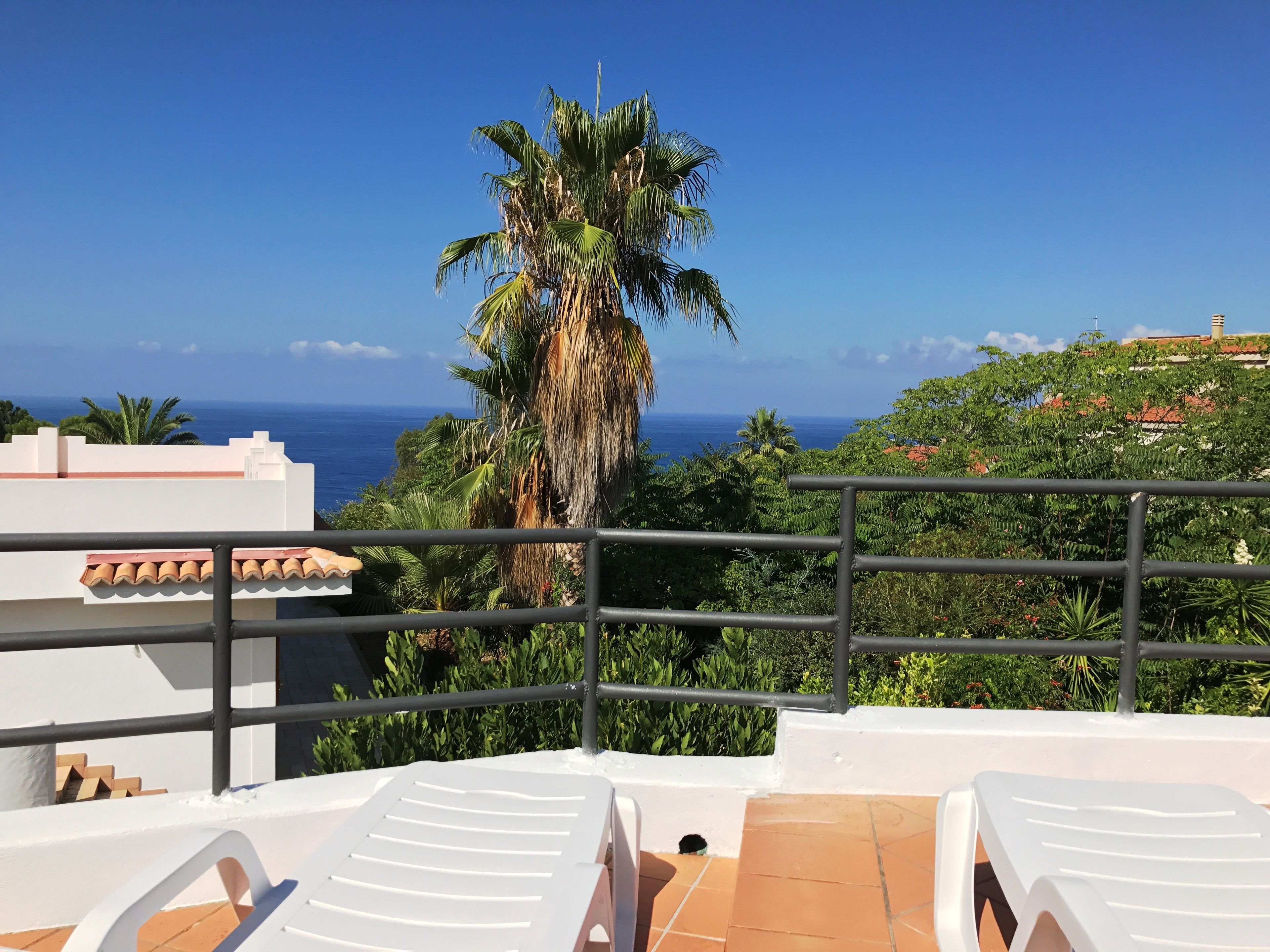 En terrass med vita loungestolar, utsikt över havet och en palm.