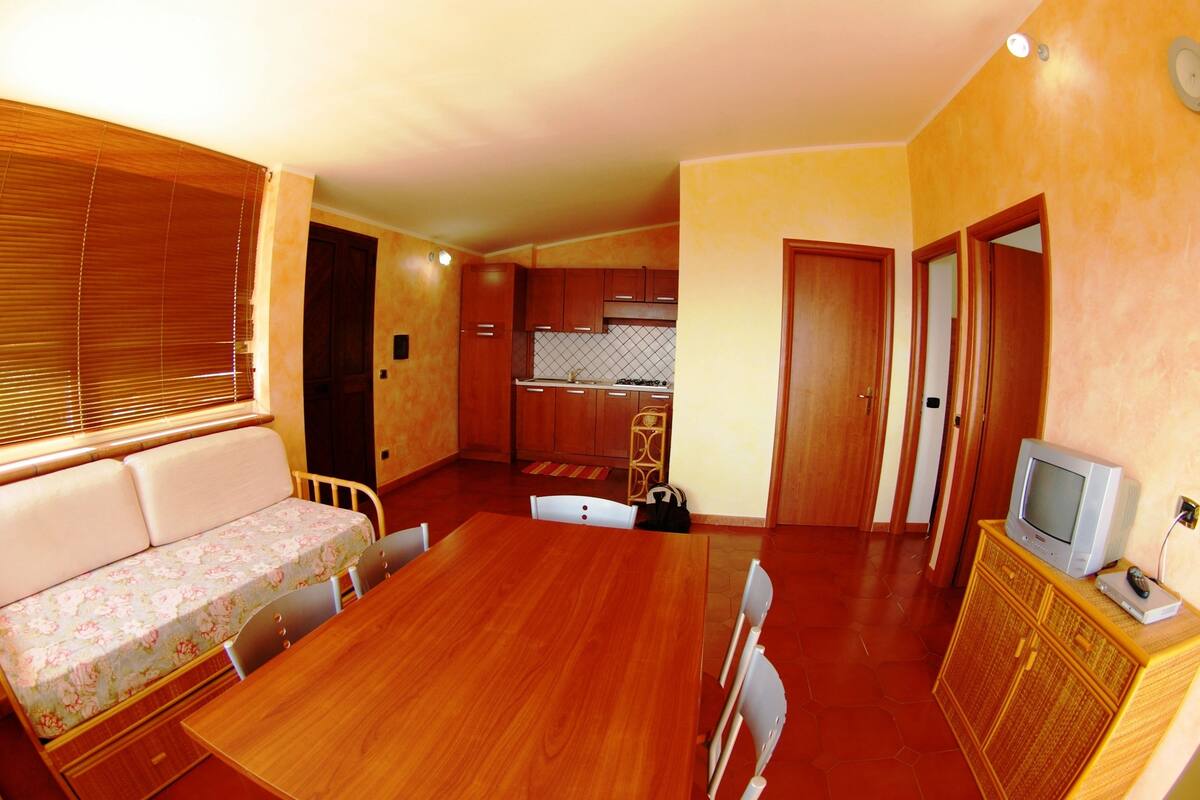 A compact living space with a kitchenette, a dining table, a sofa, and a television.