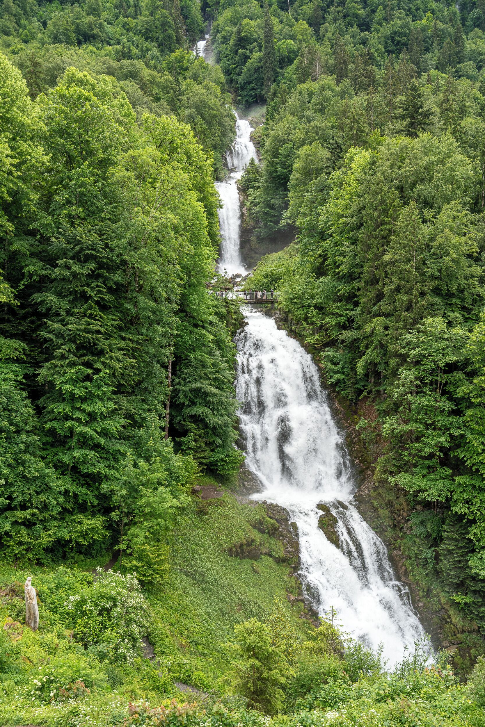 A waterfall surrounded by dense forest.