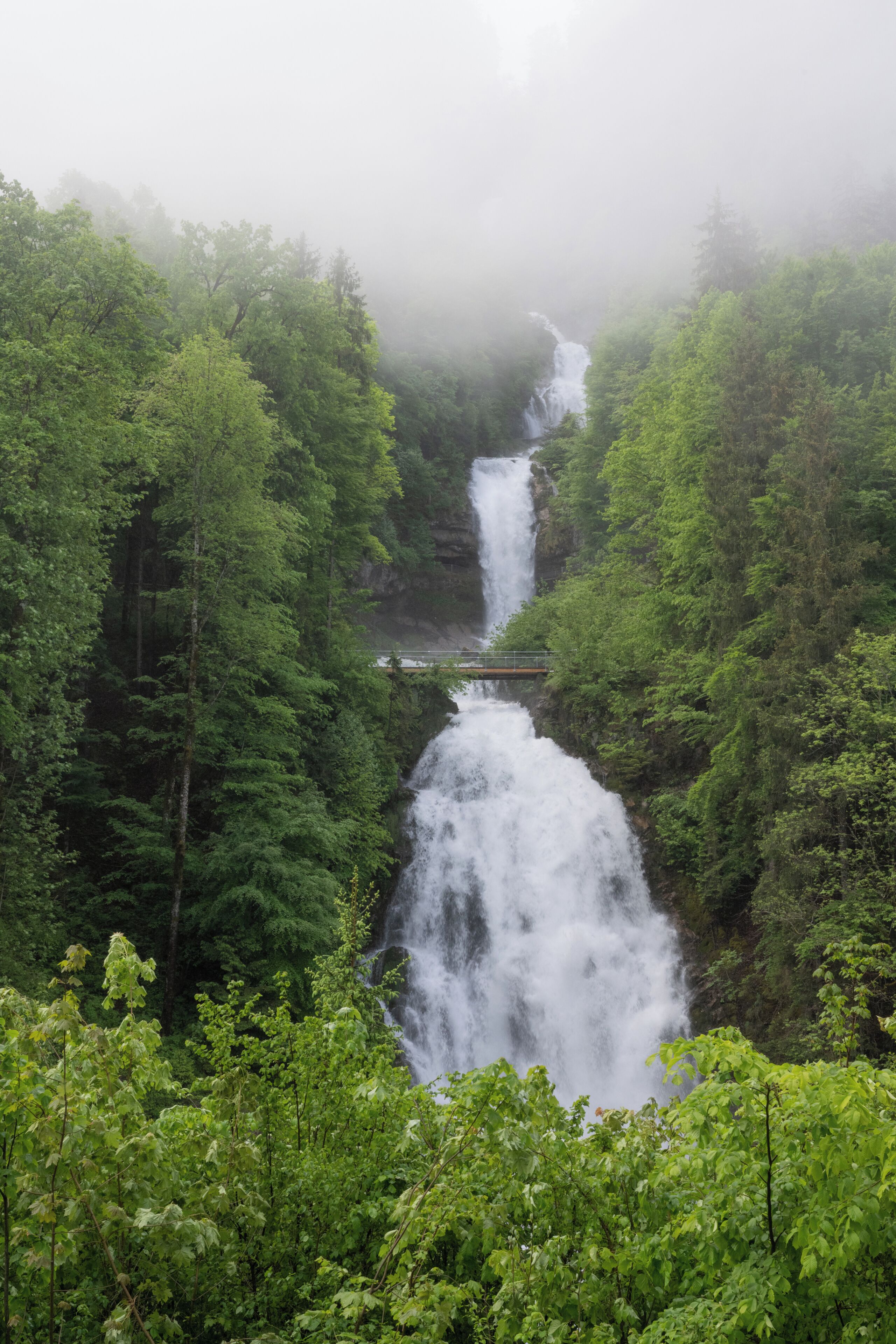 Une cascade entourée d’une forêt dense.