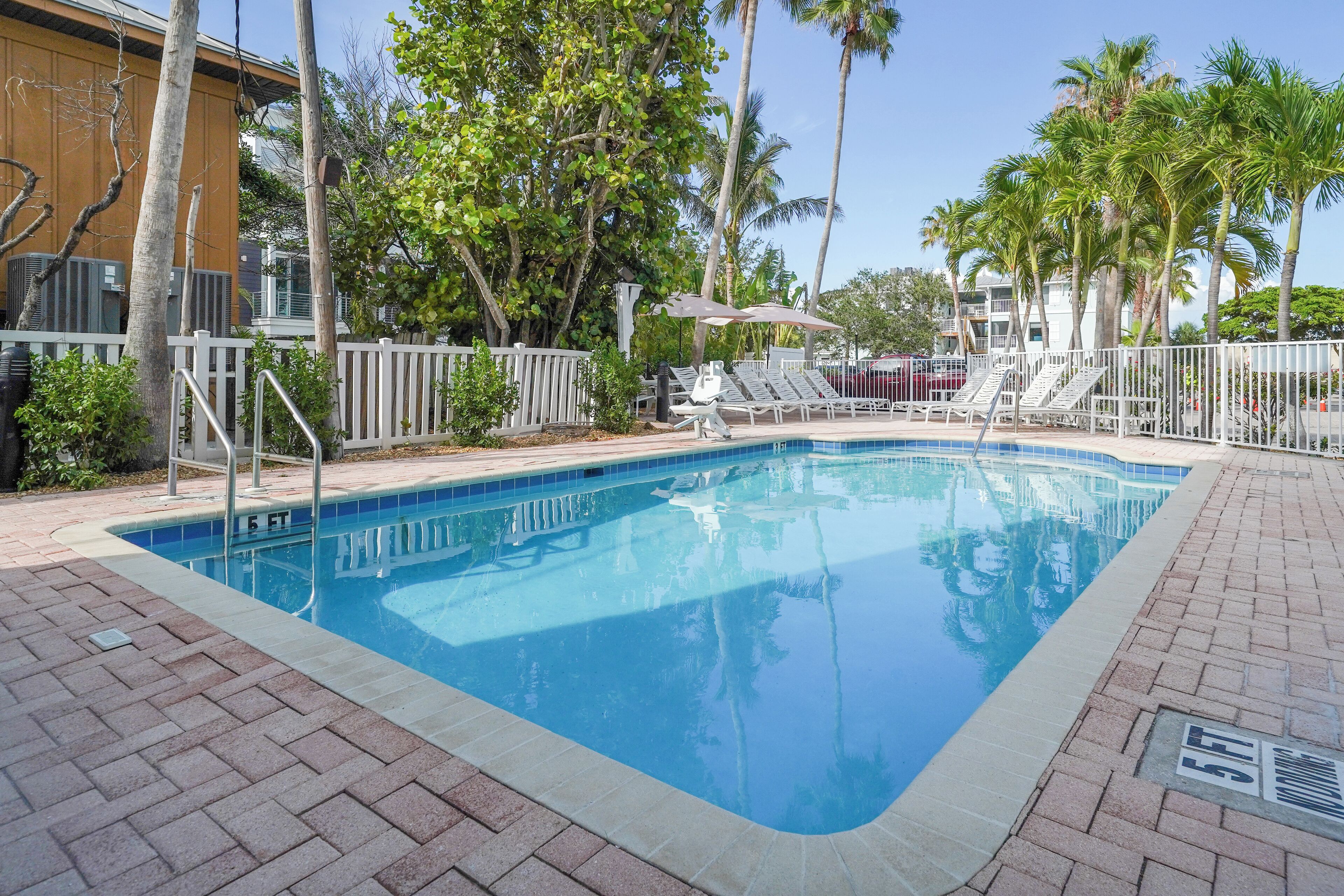 A swimming pool with a white fence, lounge chairs, and palm trees.