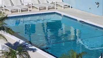 Outdoor pool, pool umbrellas, pool loungers