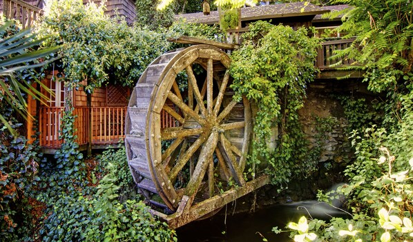 Terrace/patio - Babbling Brook Inn (Santa Cruz)