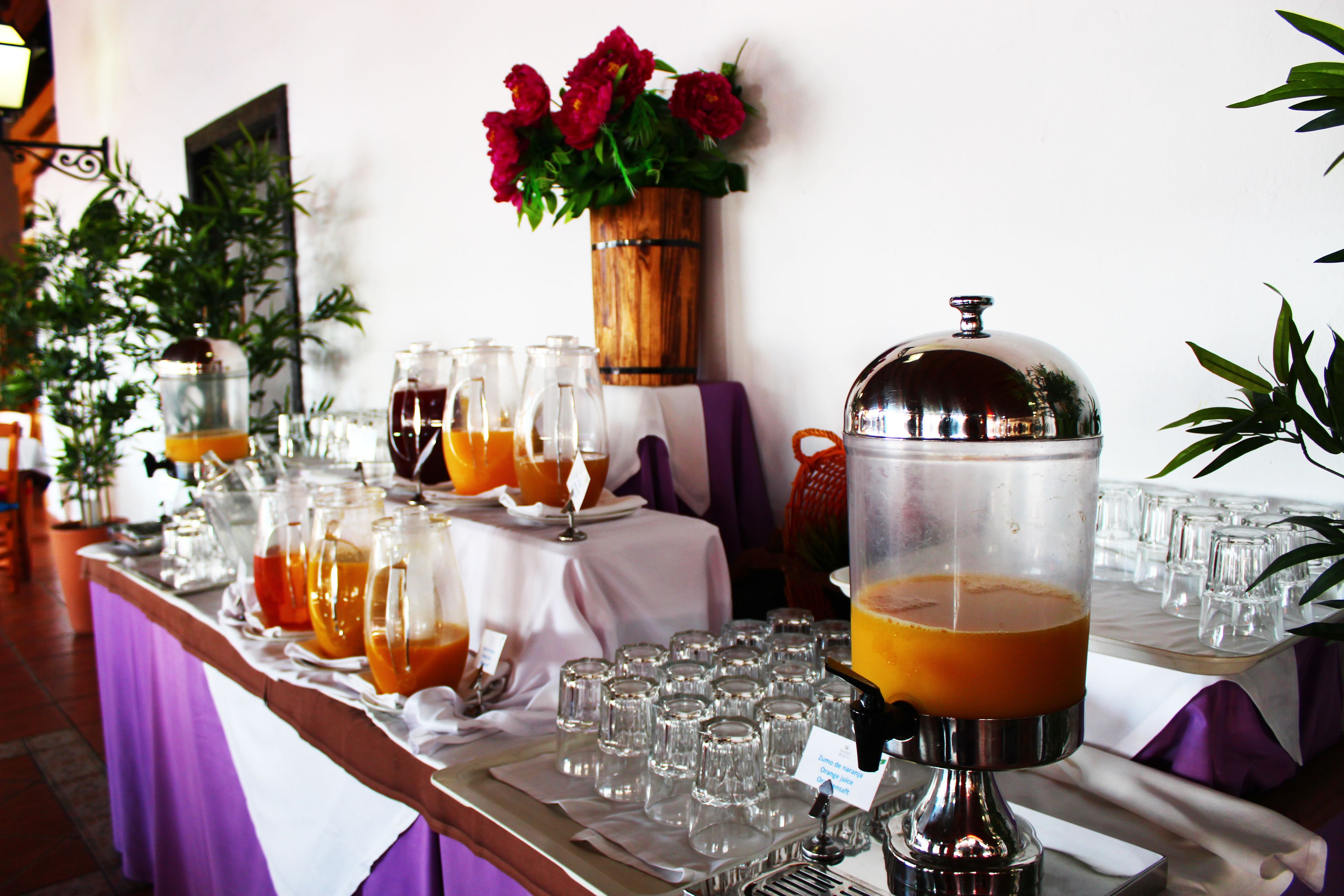 Se ofrece un desayuno bufé (12.00 EUR por persona)