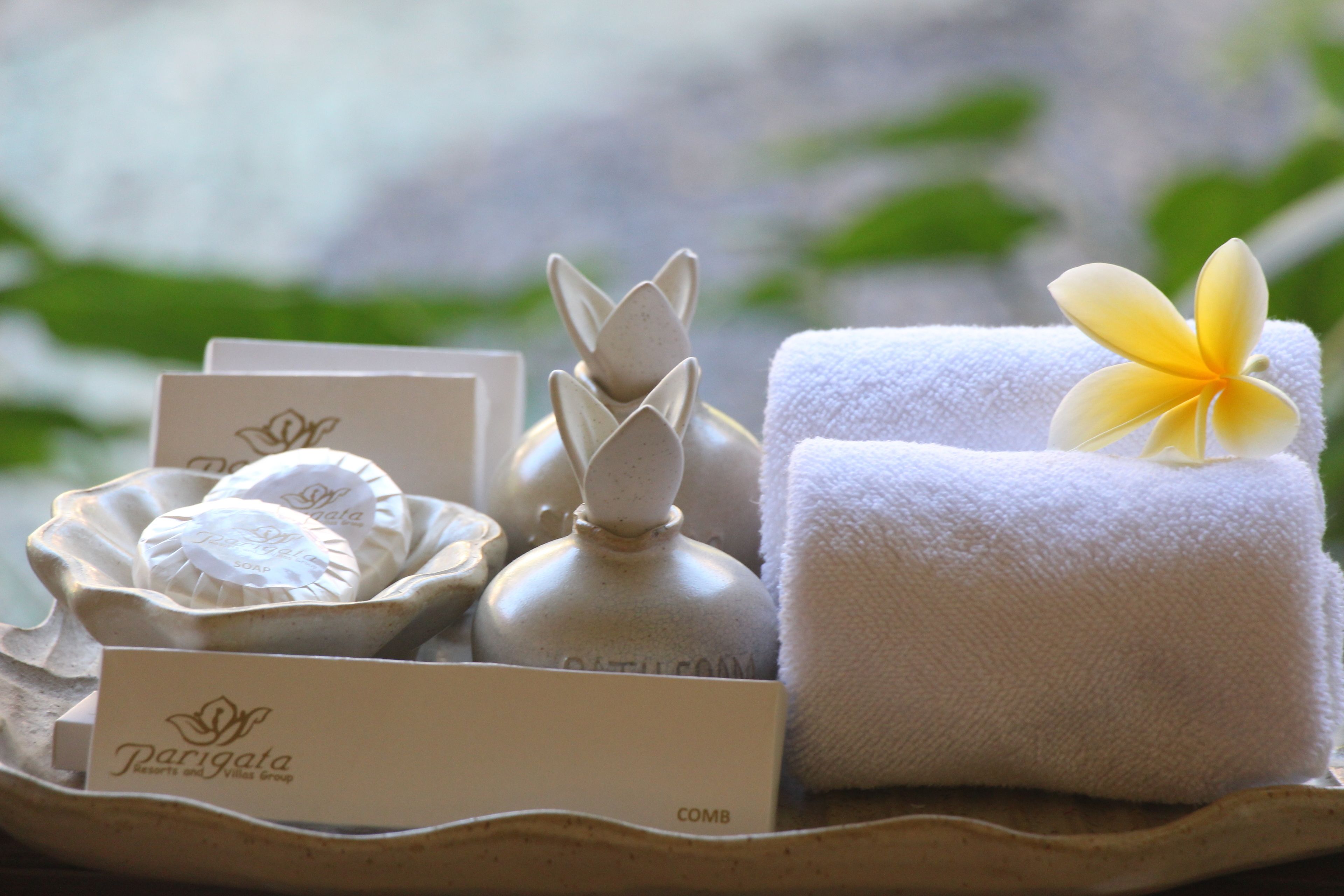 combined shower/bathtub, spring water bathtub, free toiletries