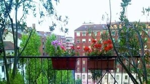 Vue depuis l’hébergement