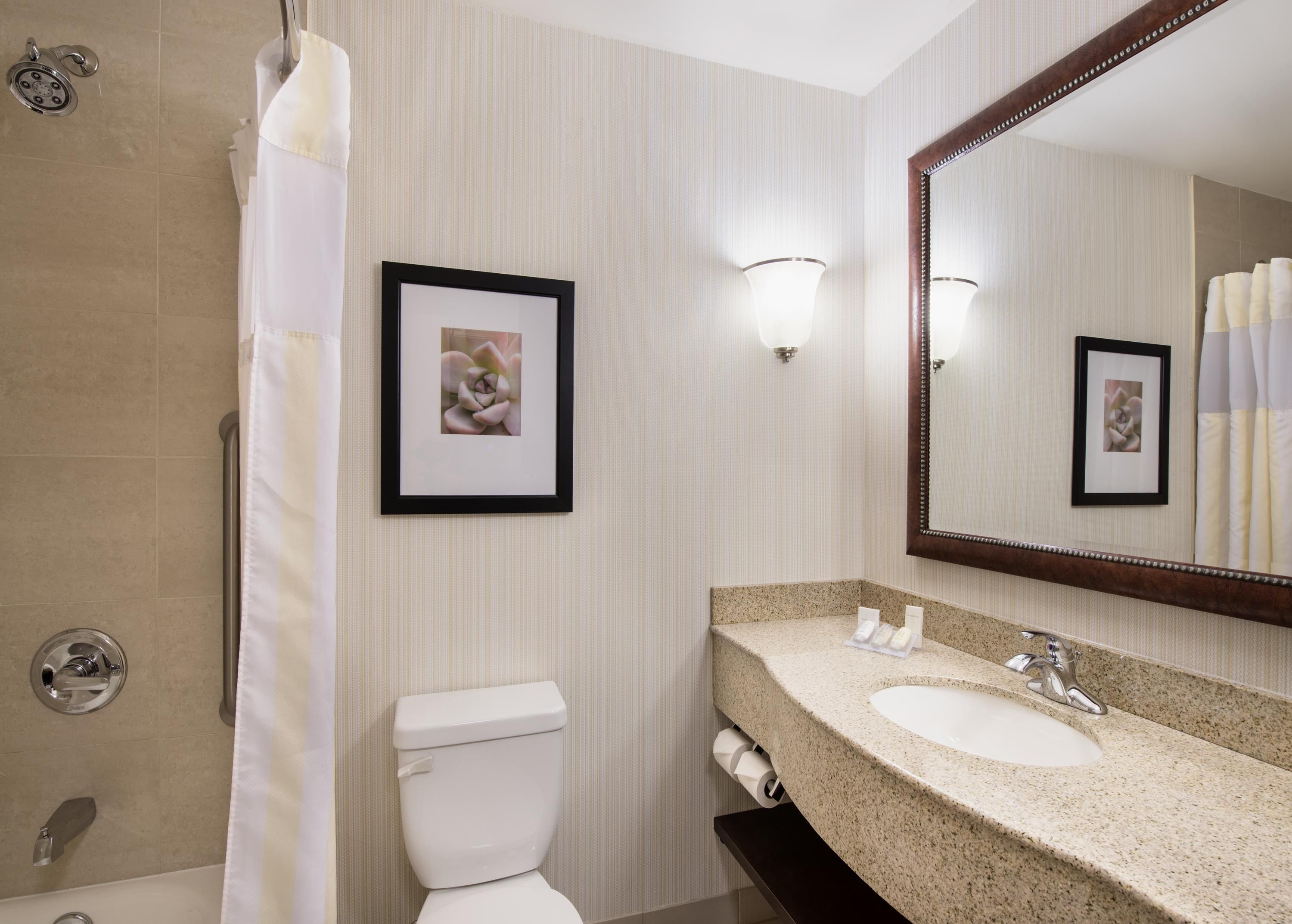 Un baño con ducha, inodoro, lavamanos y un espejo grande.