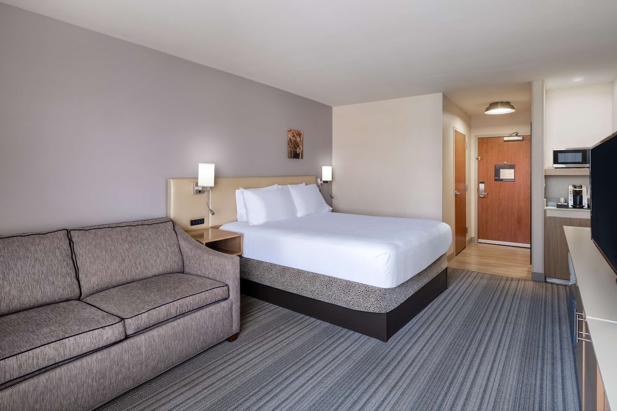 A hotel room with a bed, a sofa, a desk with a TV, and a microwave.