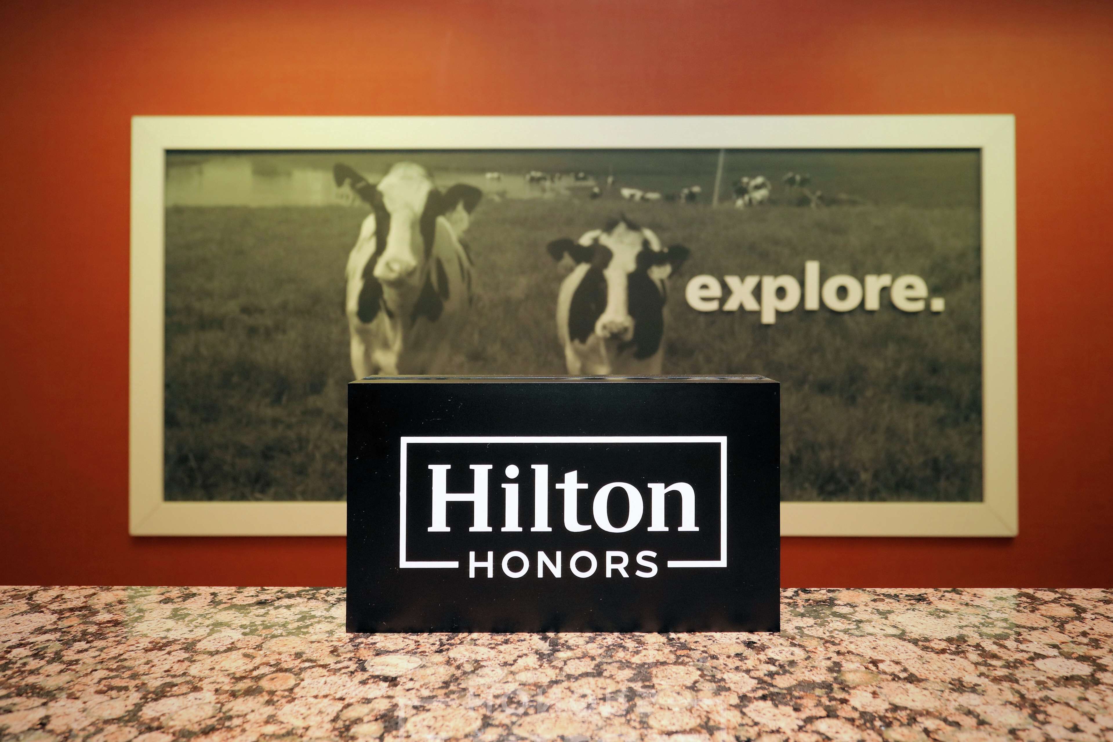 Et indrammet billede af to køer, med teksten "explore" og "Hilton HONORS" nedenunder.
