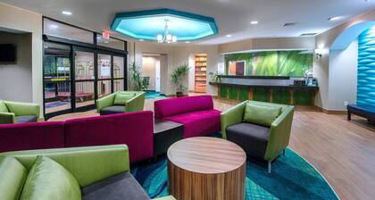 SpringHill Suites by Marriott Greensboro