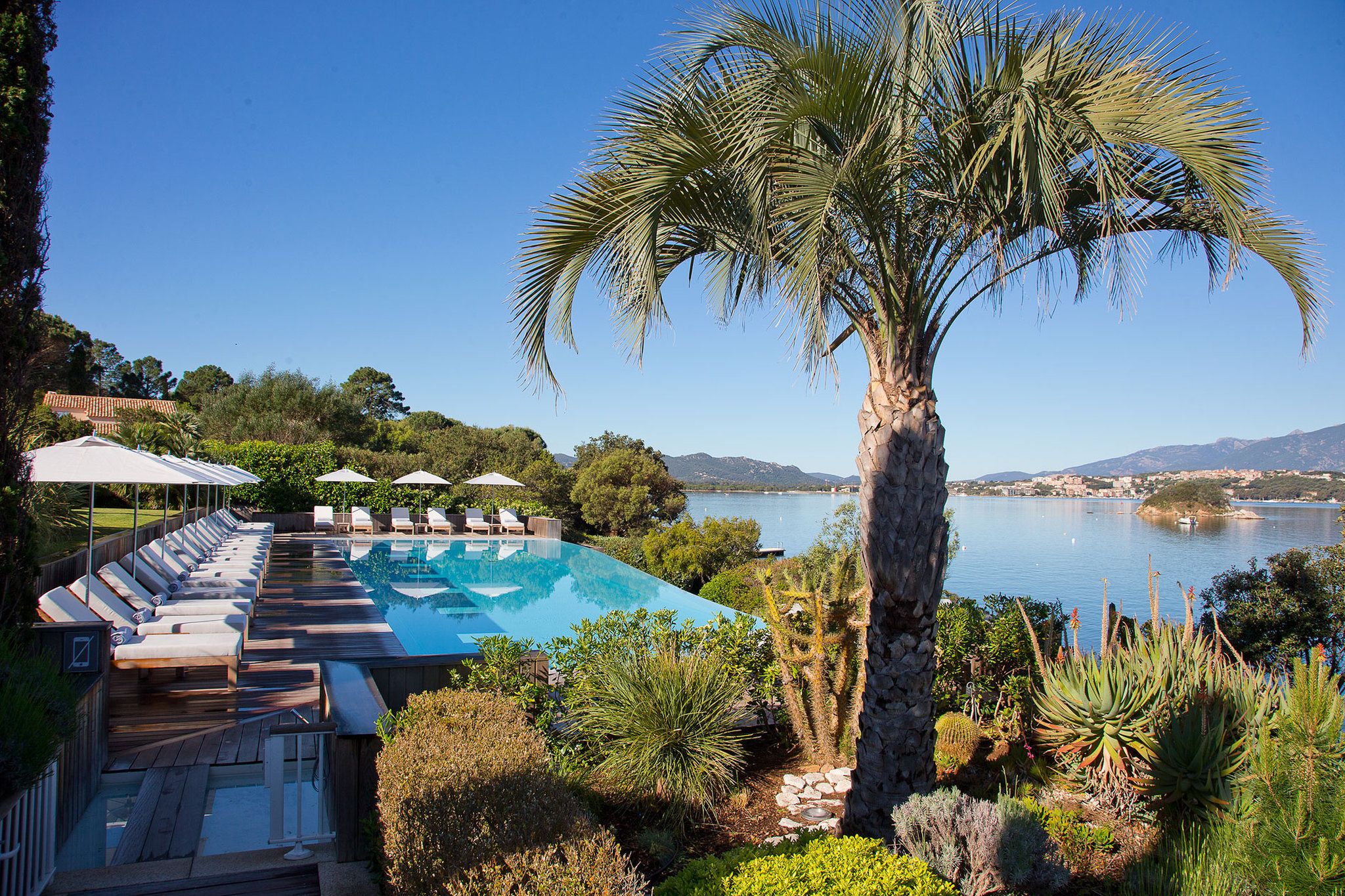Area piscina con sedie a sdraio e una palma, con vista su un lago e montagne sullo sfondo.
