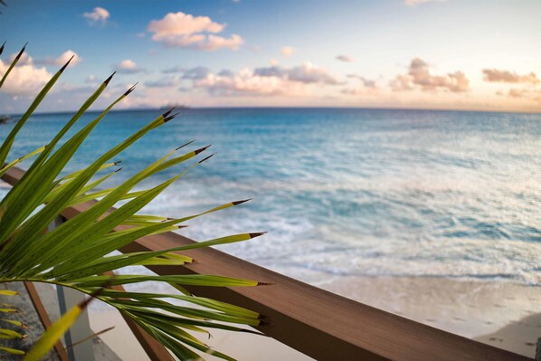 Restaurant - Royal Islander Resort La Terrasse (Lowlands)