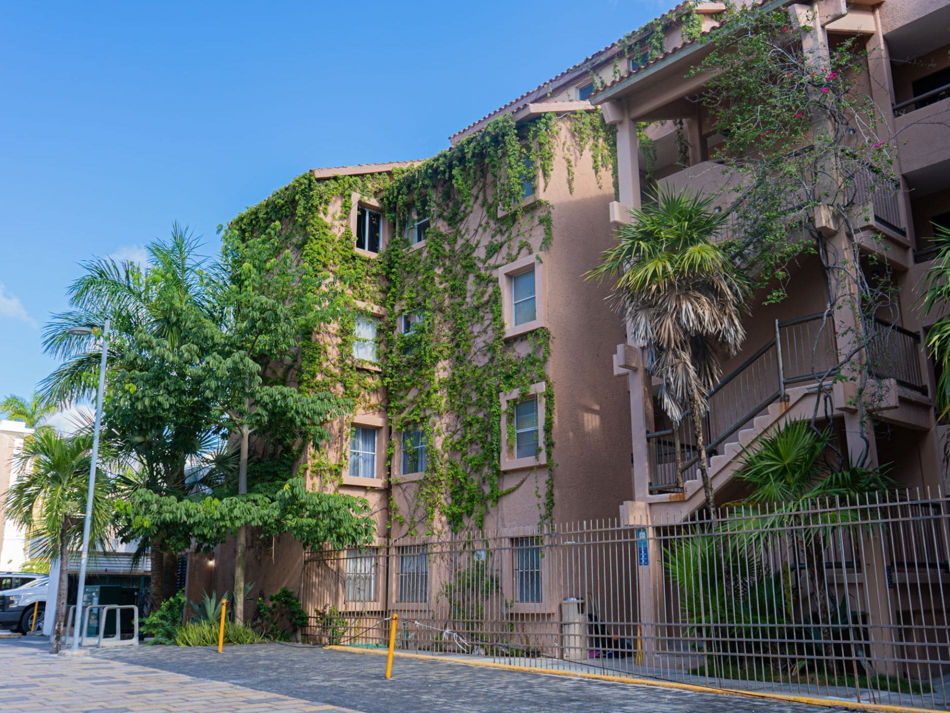 Foto - Tukan Hotel Playa del Carmen