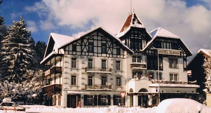 Alpina Hotel