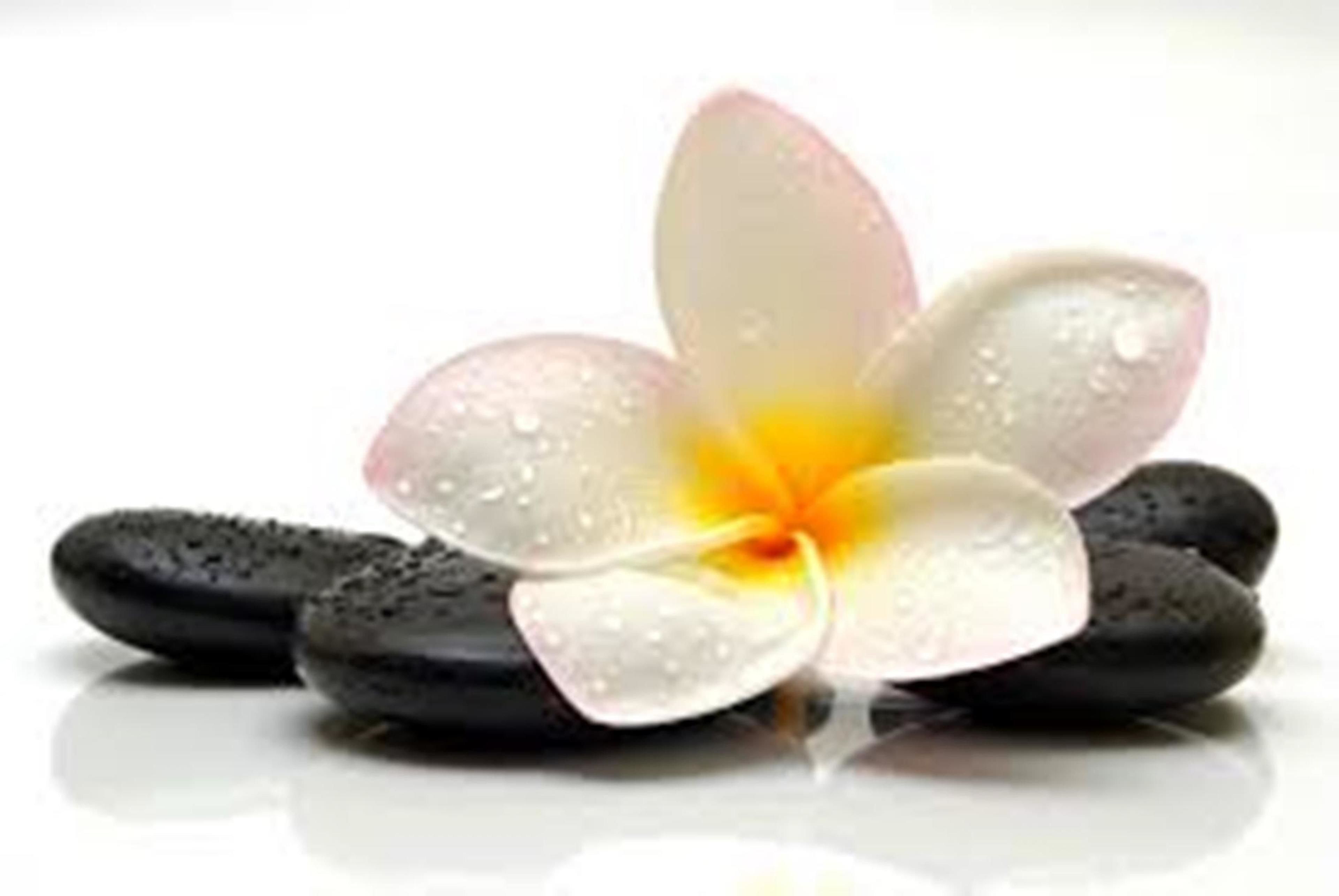 A white flower with yellow center petals and water droplets, surrounded by black stones.