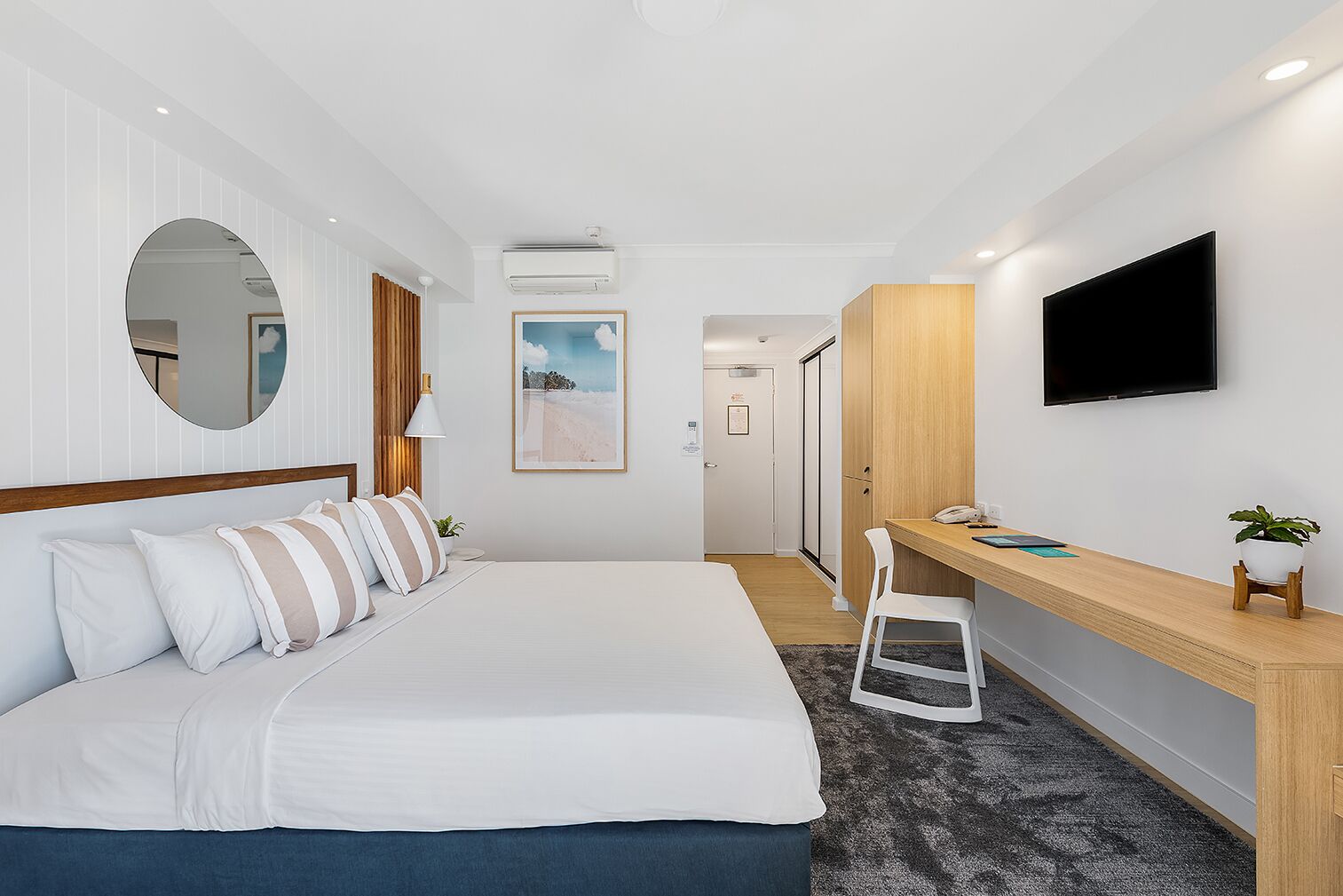 A hotel room with a bed, a desk, a chair, a TV, and a potted plant.