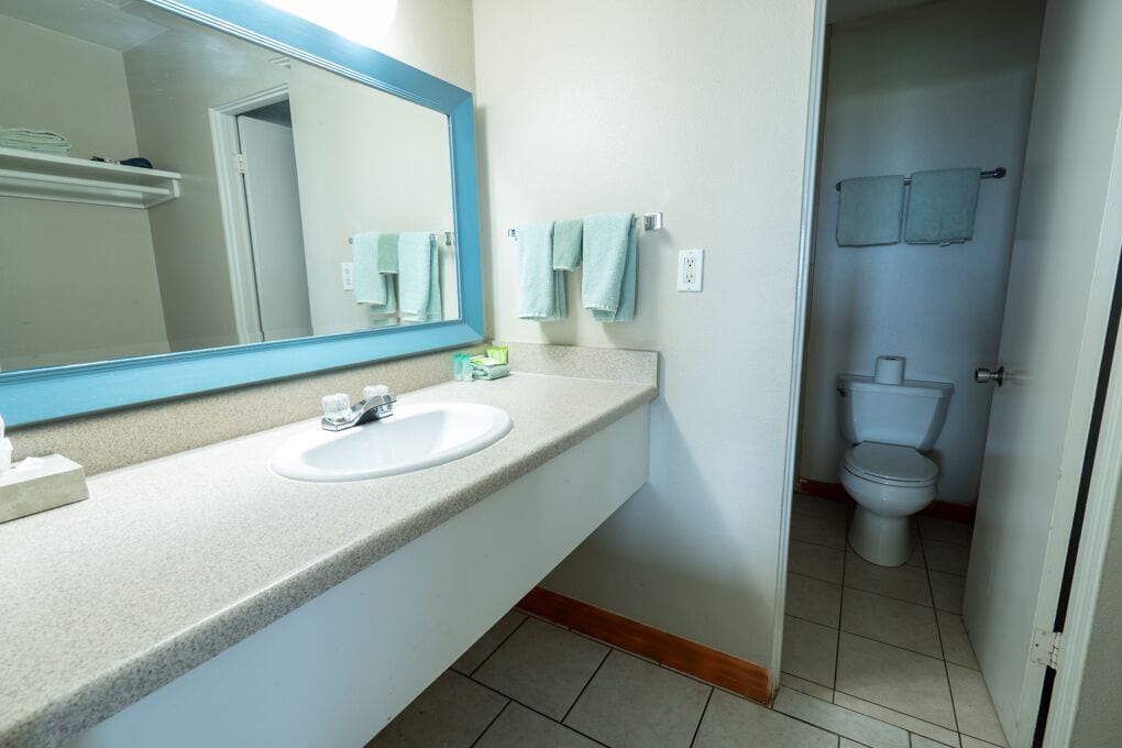 A bathroom with a sink, mirror, and toilet.