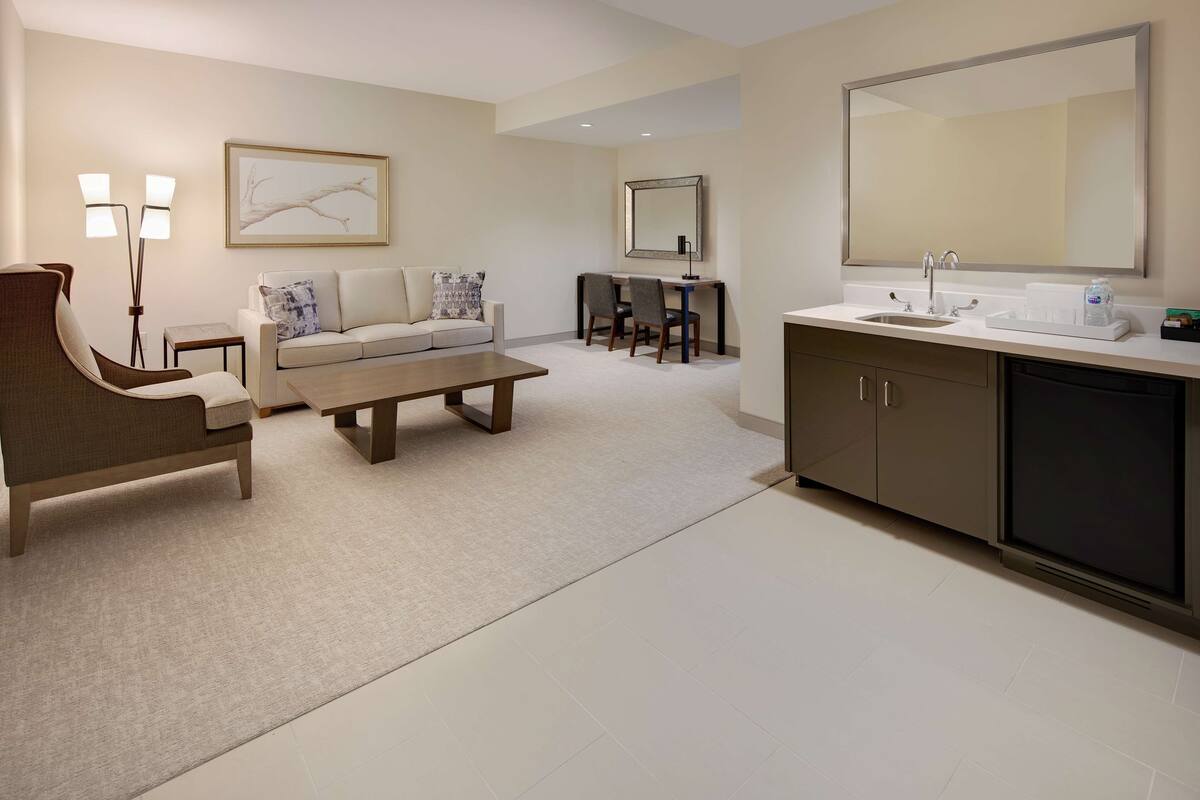 Un salon moderne comprenant un canapé, une table basse et un fauteuil, un coin repas avec des chaises, un grand miroir et un coin cuisine avec un évier et des placards.