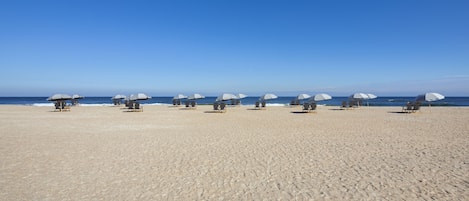 A beach with rows of beach chairs and umbrellas.