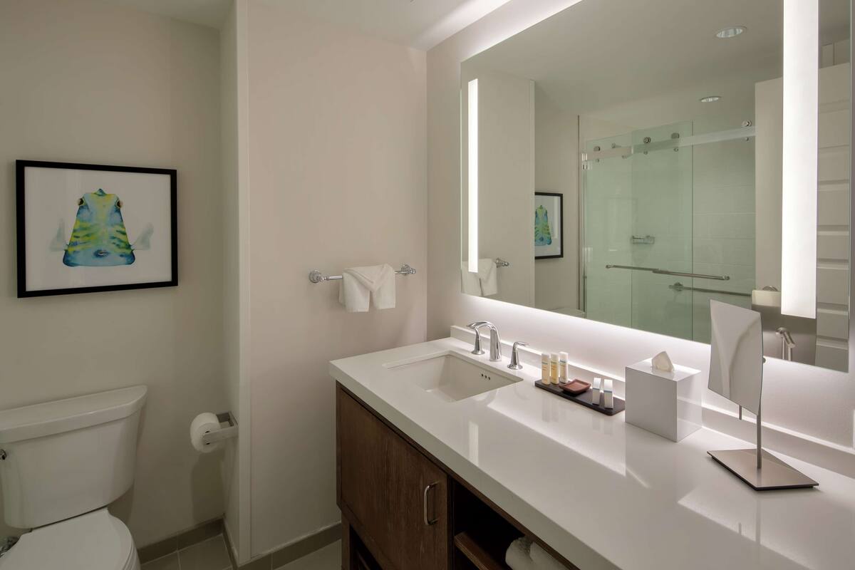 Une salle de bain moderne avec un lavabo blanc, un miroir, un tableau encadré au mur et des toilettes.
