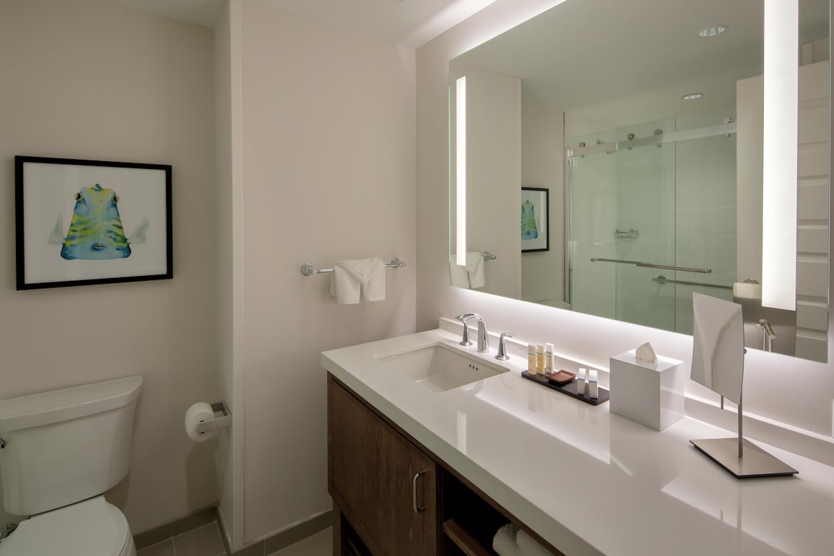 Douche de la salle de bain