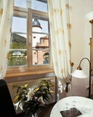 Vista desde la propiedad