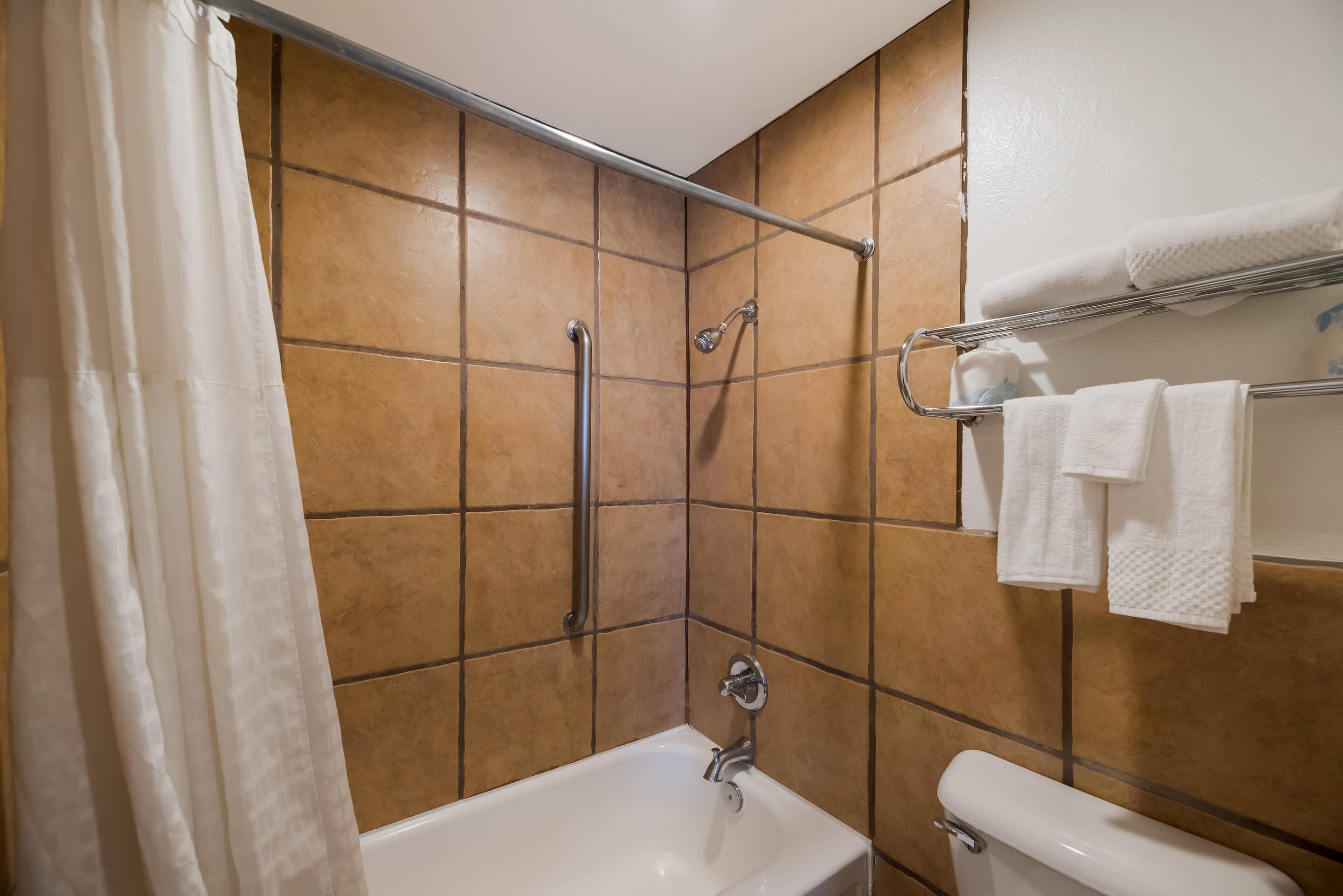 A bathroom with a shower, a bathtub, and a toilet.