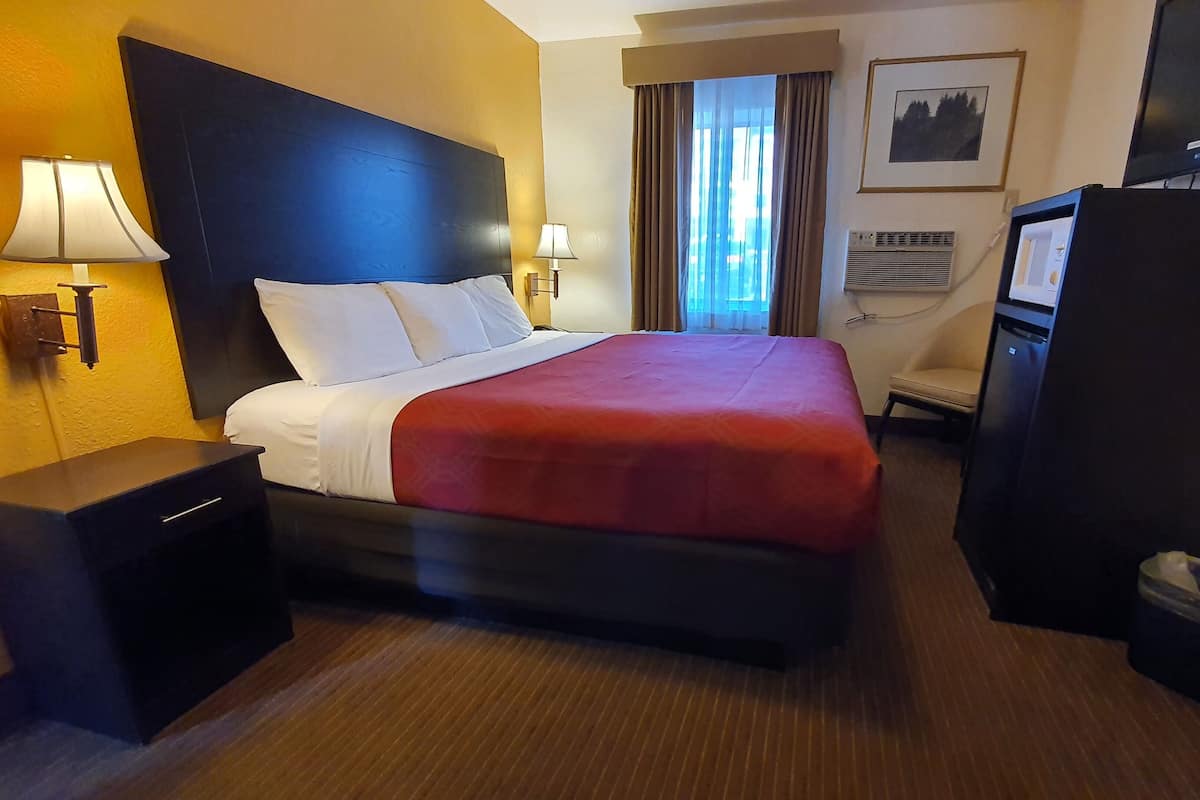 Habitación de hotel con una cama grande, dos lámparas de noche, un escritorio, una silla, un televisor y un cuadro en la pared.