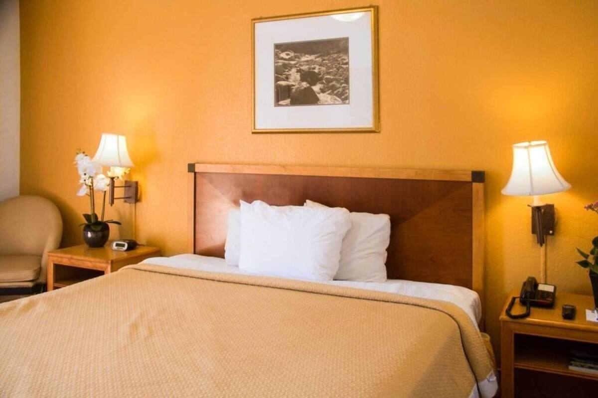 Habitación de hotel con una cama, dos mesitas de noche con lámparas, una silla y un cuadro en la pared.