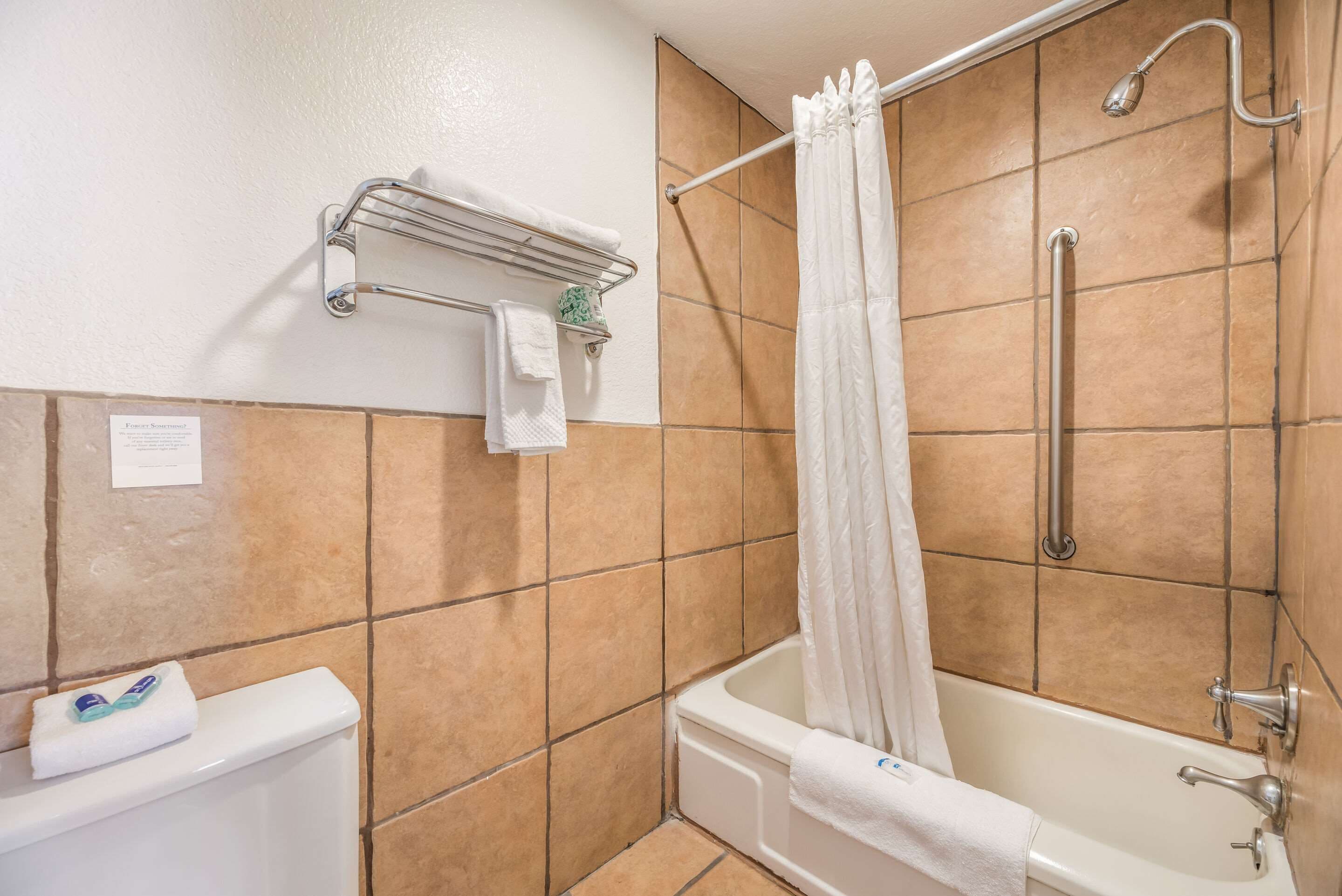 A bathroom with a bathtub, a shower with a handrail, and a toilet.