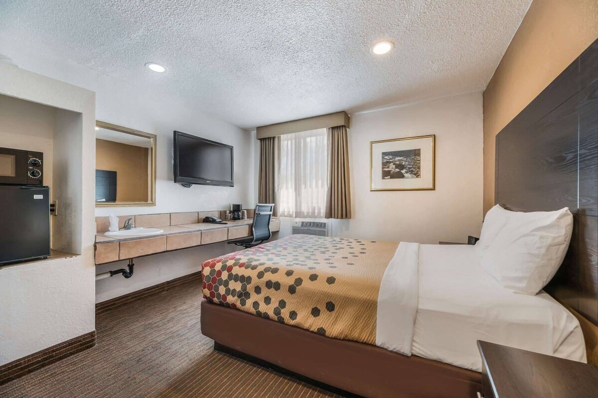 A hotel room with a bed, a desk, a chair, a television, a refrigerator, and a window with curtains.