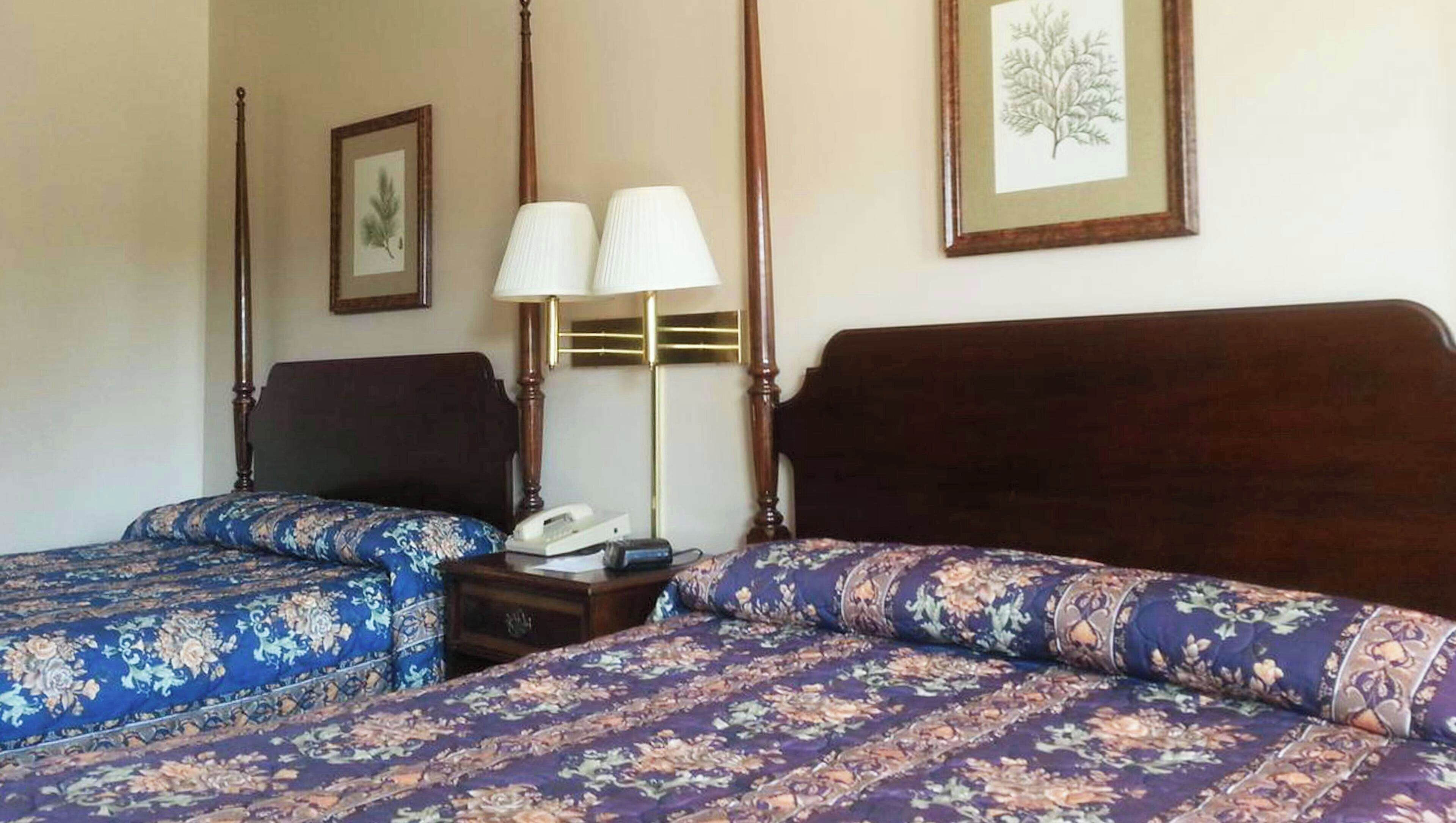 Une chambre d’hôtel avec deux lits, une table de chevet avec une lampe, un téléphone et des illustrations botaniques encadrées accrochées au mur.