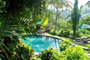 Piscine extérieure, chaises longues