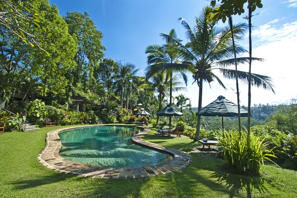 Outdoor pool, pool loungers