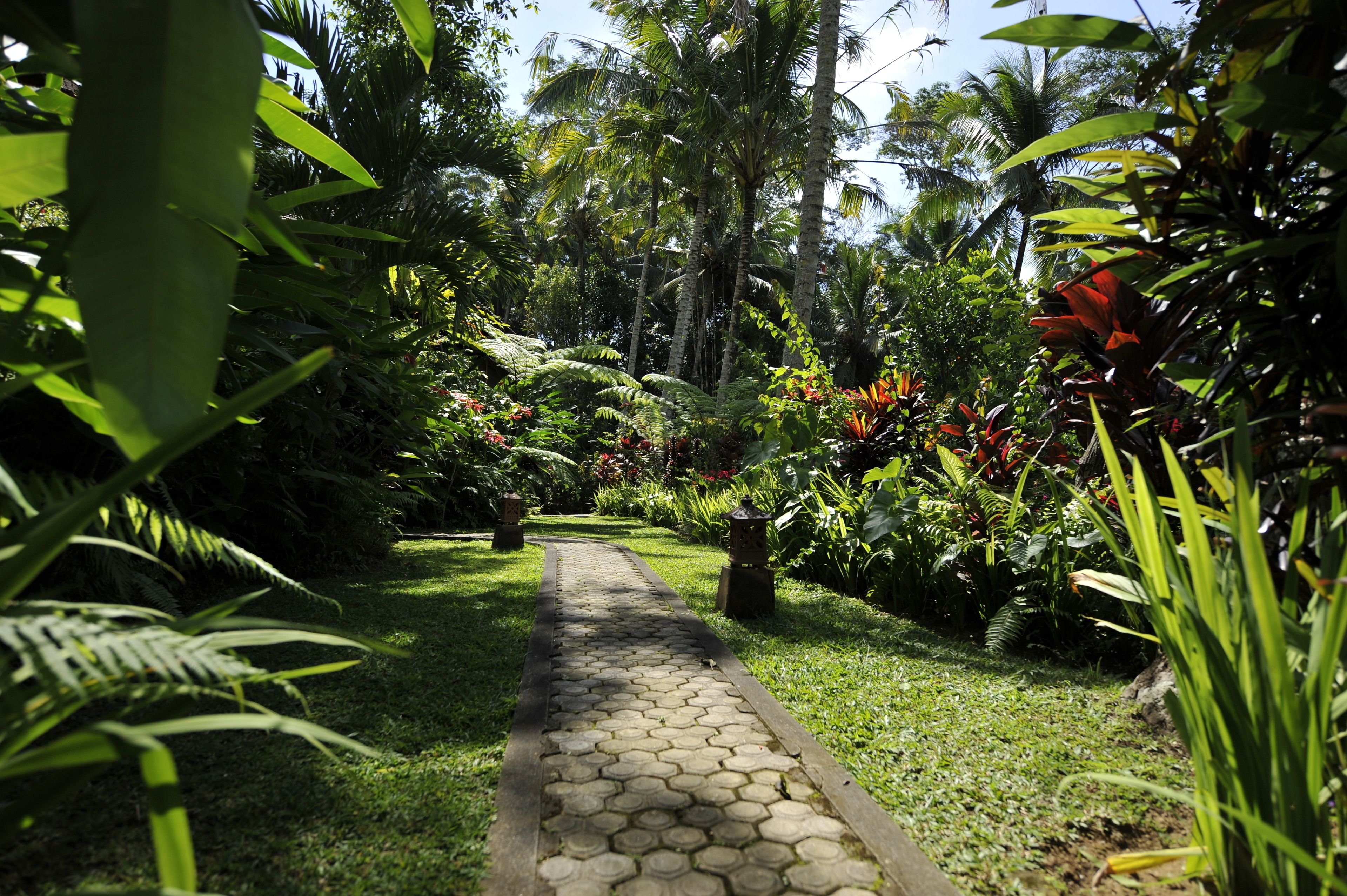 villa, 3 bedrooms | terrace/patio