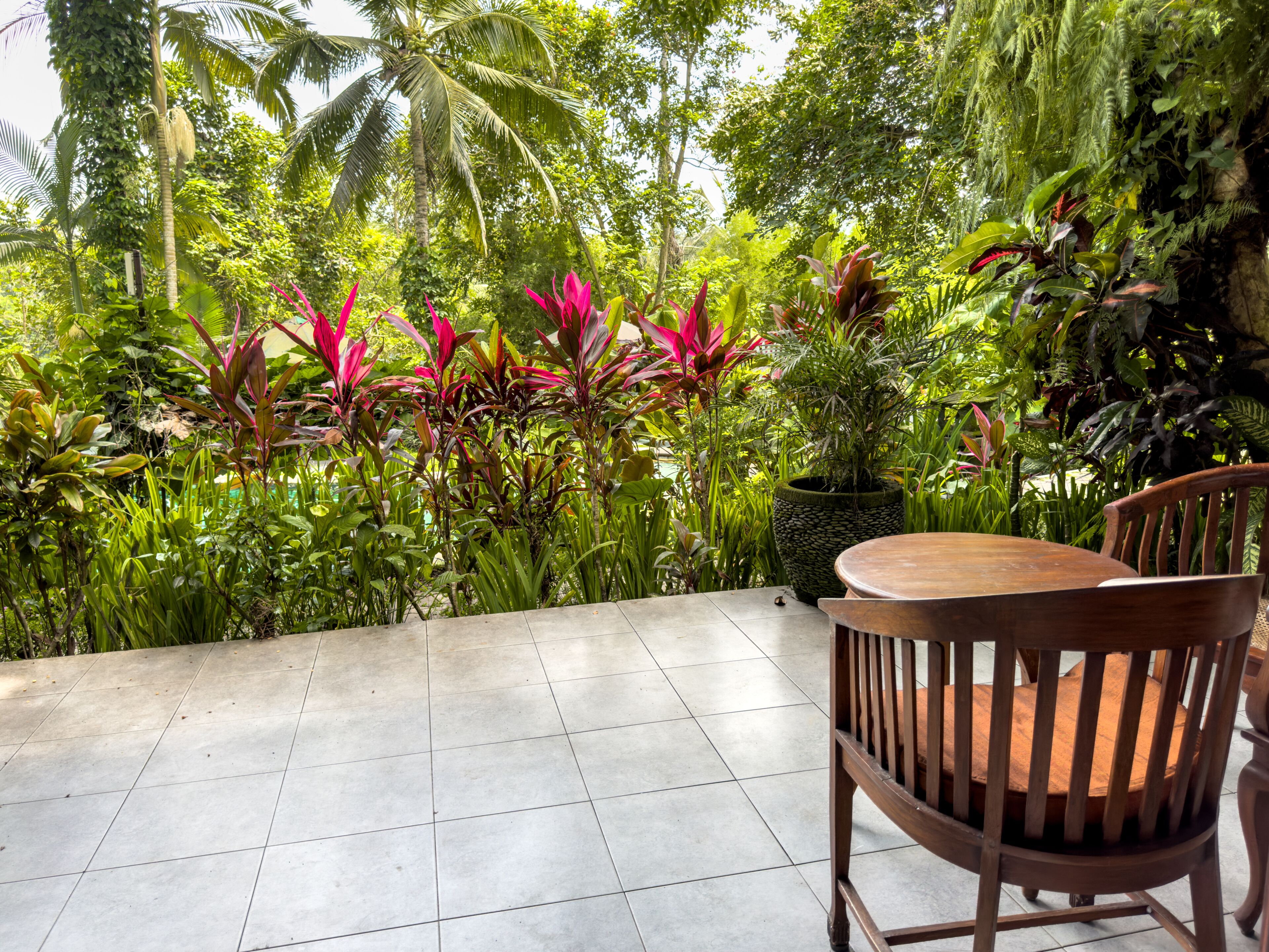 superior room | terrace/patio