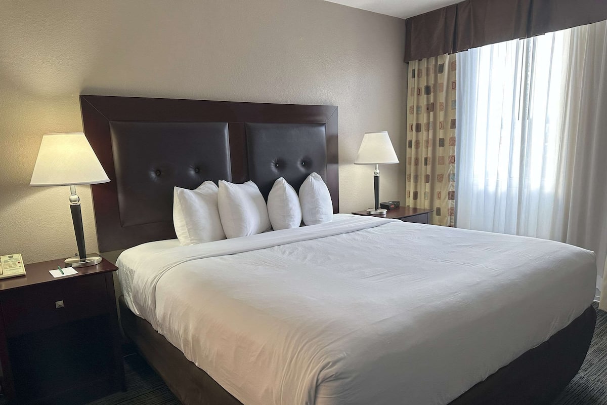 Suite, 1 King Bed with Sofa bed, Non Smoking | Pillowtop beds, desk, laptop workspace, blackout drapes