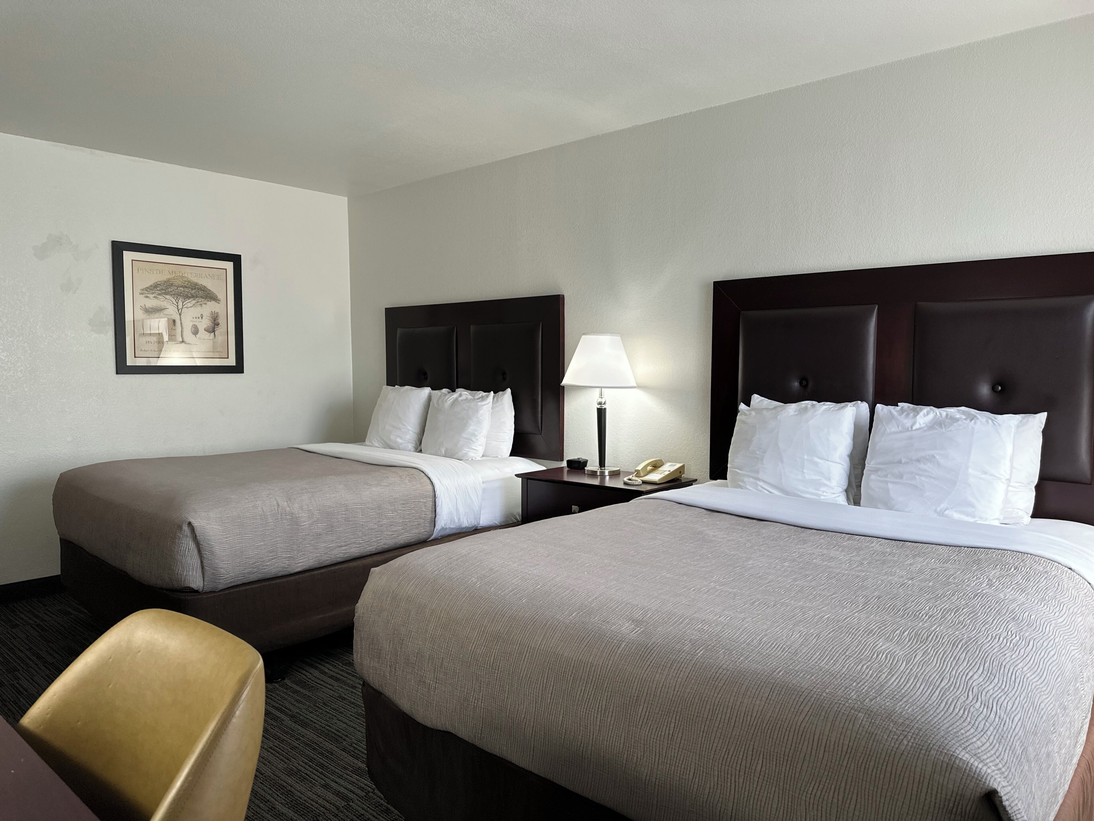 Foto - Quality Inn & Suites Everett