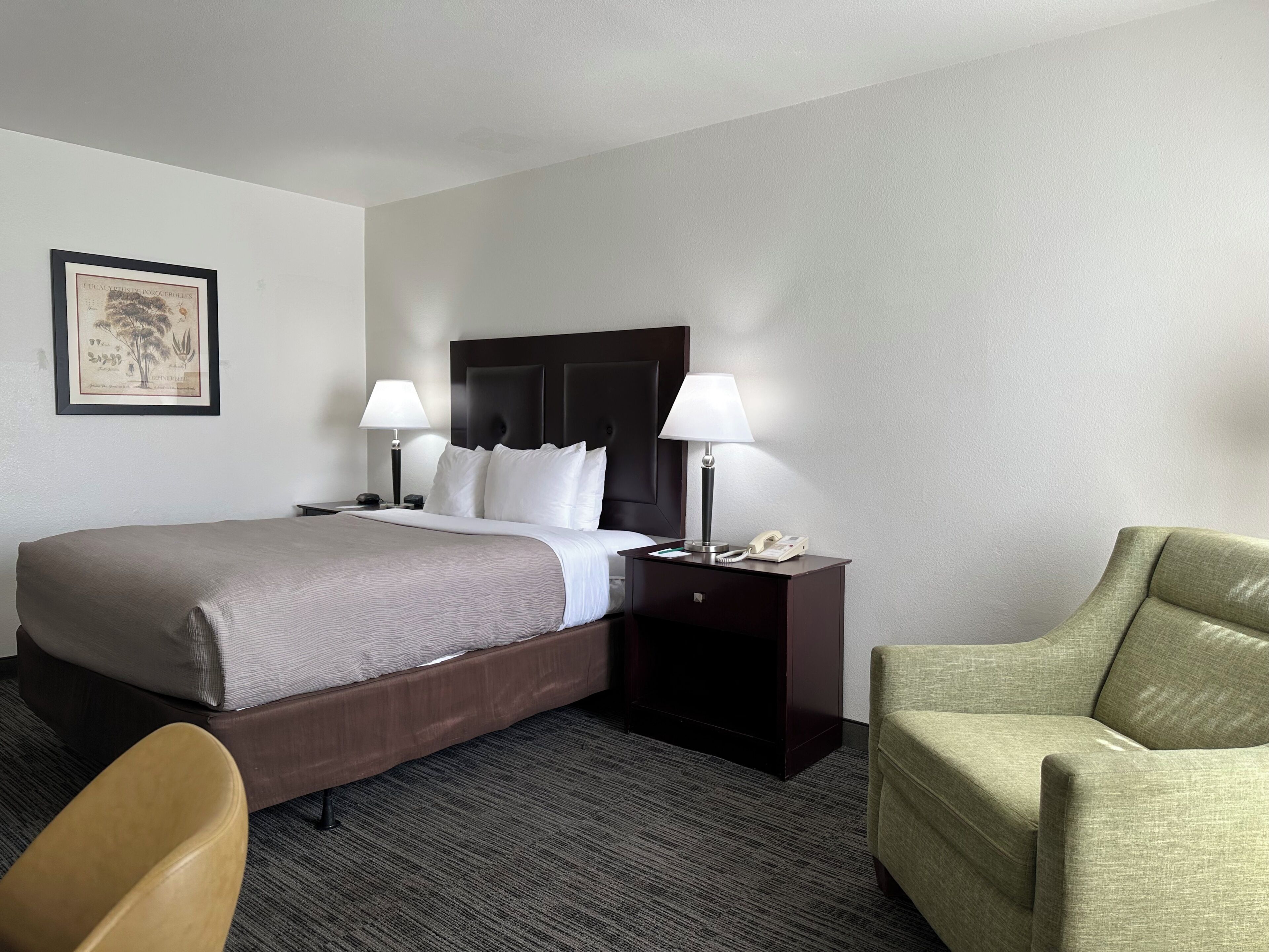 A hotel room with a bed, two bedside lamps, a nightstand with a phone, a framed picture on the wall, and a green armchair.