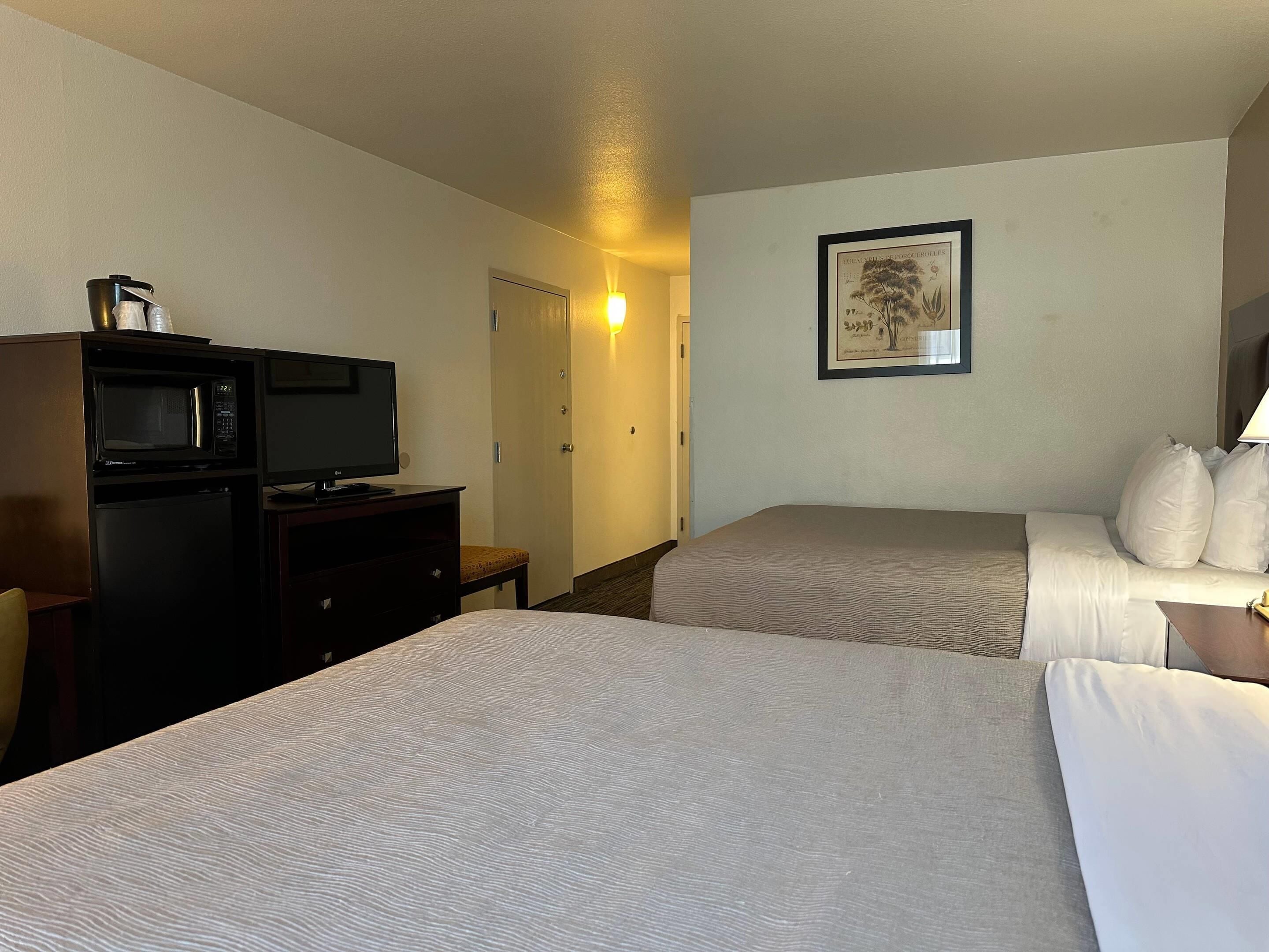 Habitación de hotel con dos camas, televisor, microondas e ilustración botánica enmarcada en la pared.