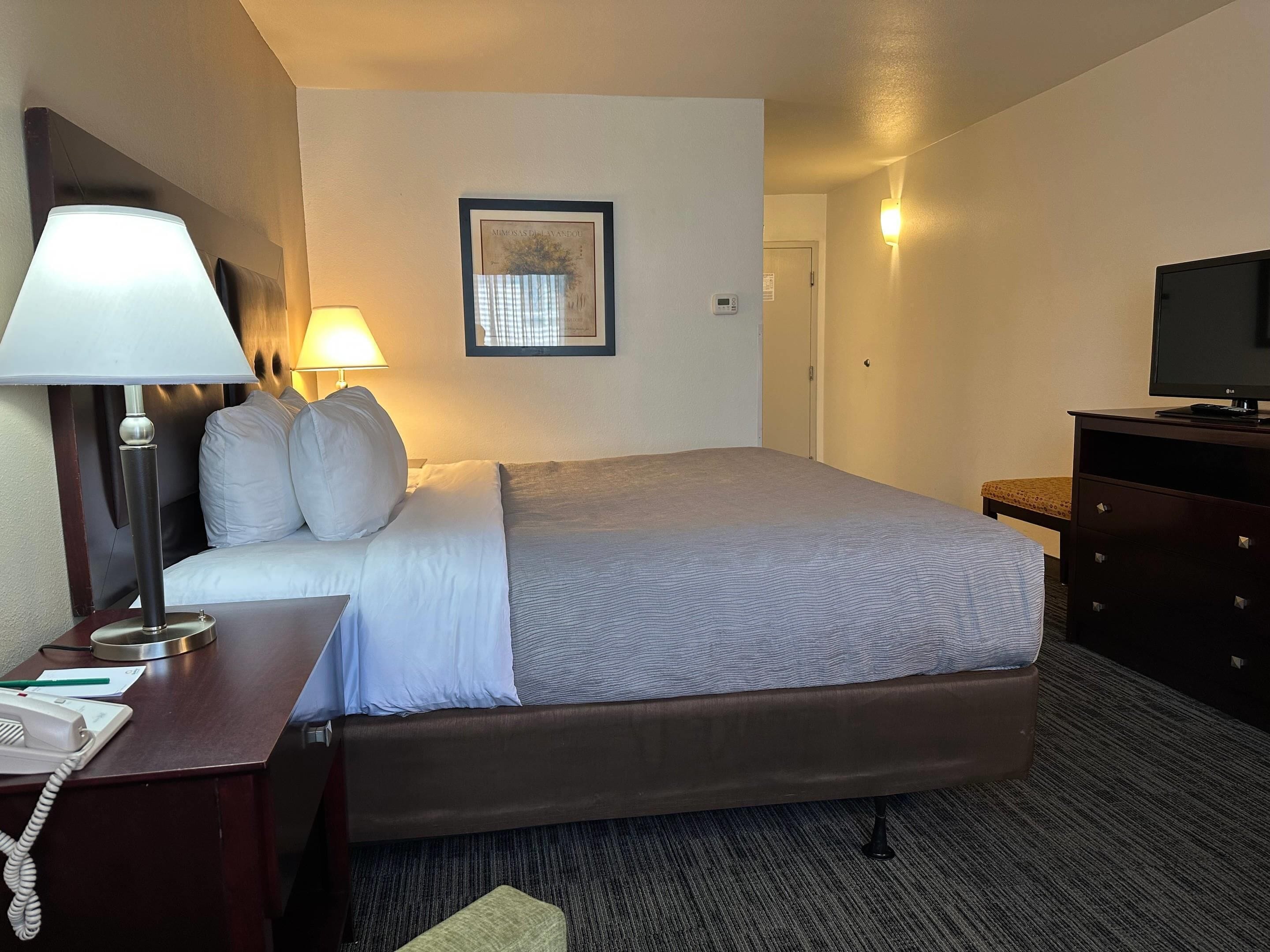 Room, 1 King Bed, Non Smoking | Pillow-top beds, desk, laptop workspace, blackout curtains