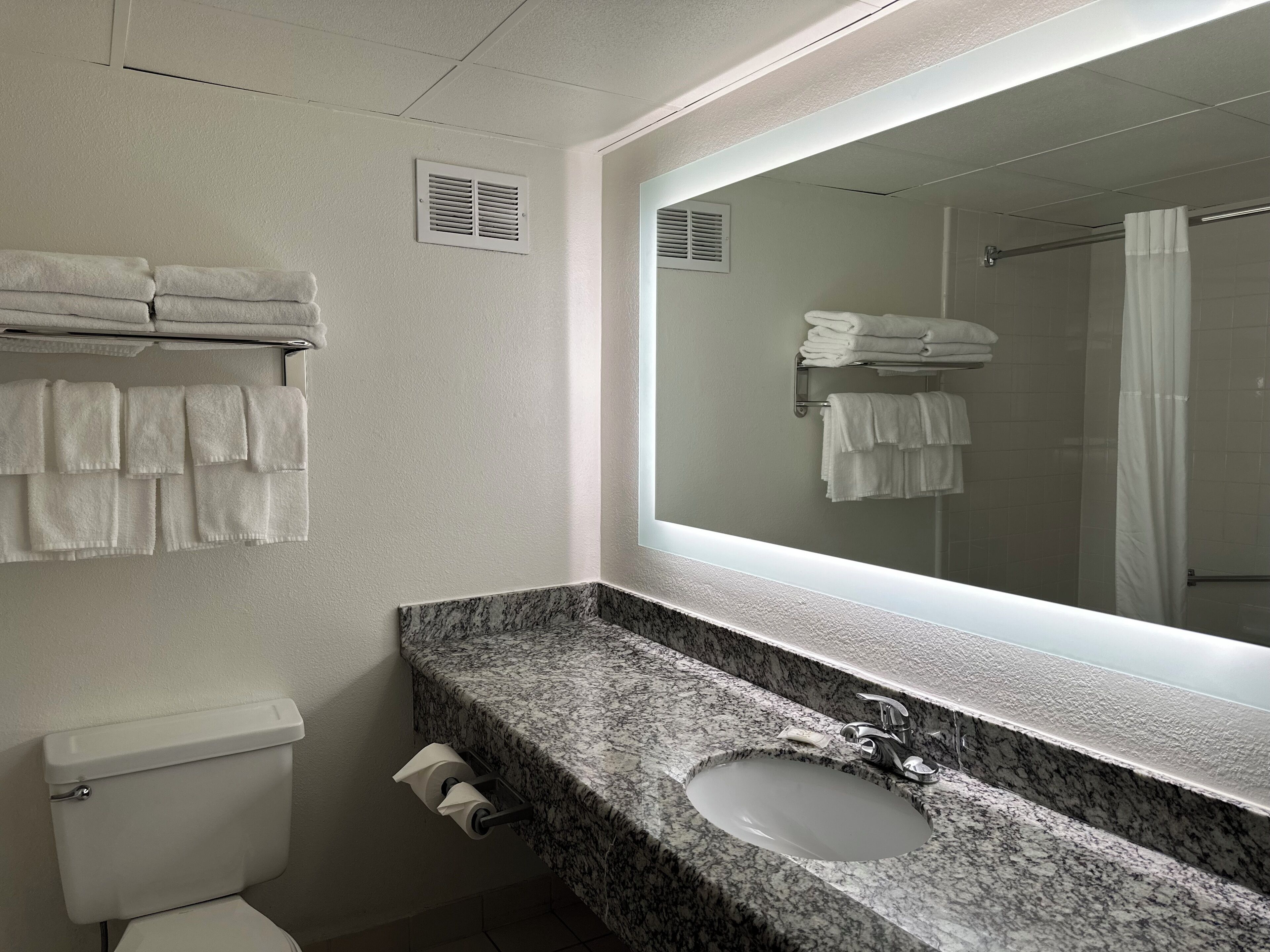 A bathroom with a marble sink, a toilet, and a mirror reflecting a shower area.