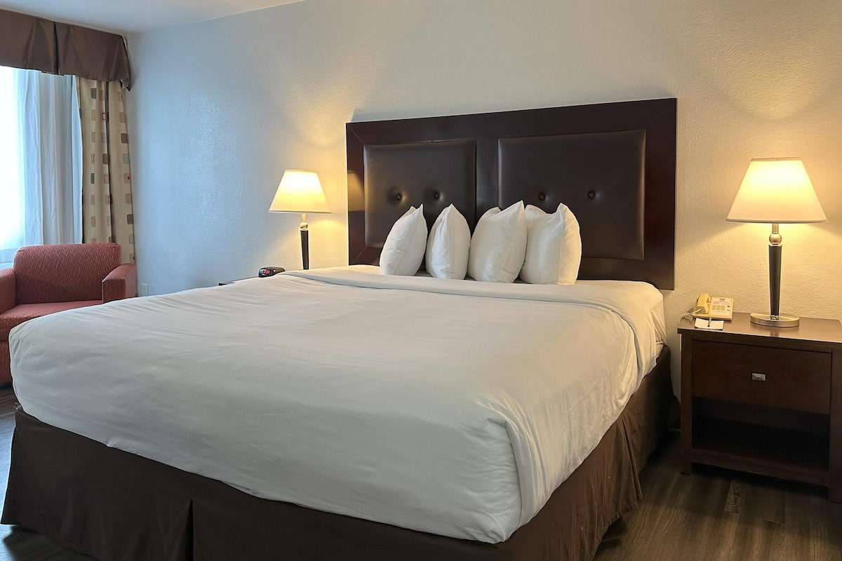 Room, 1 King Bed, Non Smoking | Pillowtop beds, desk, laptop workspace, blackout drapes