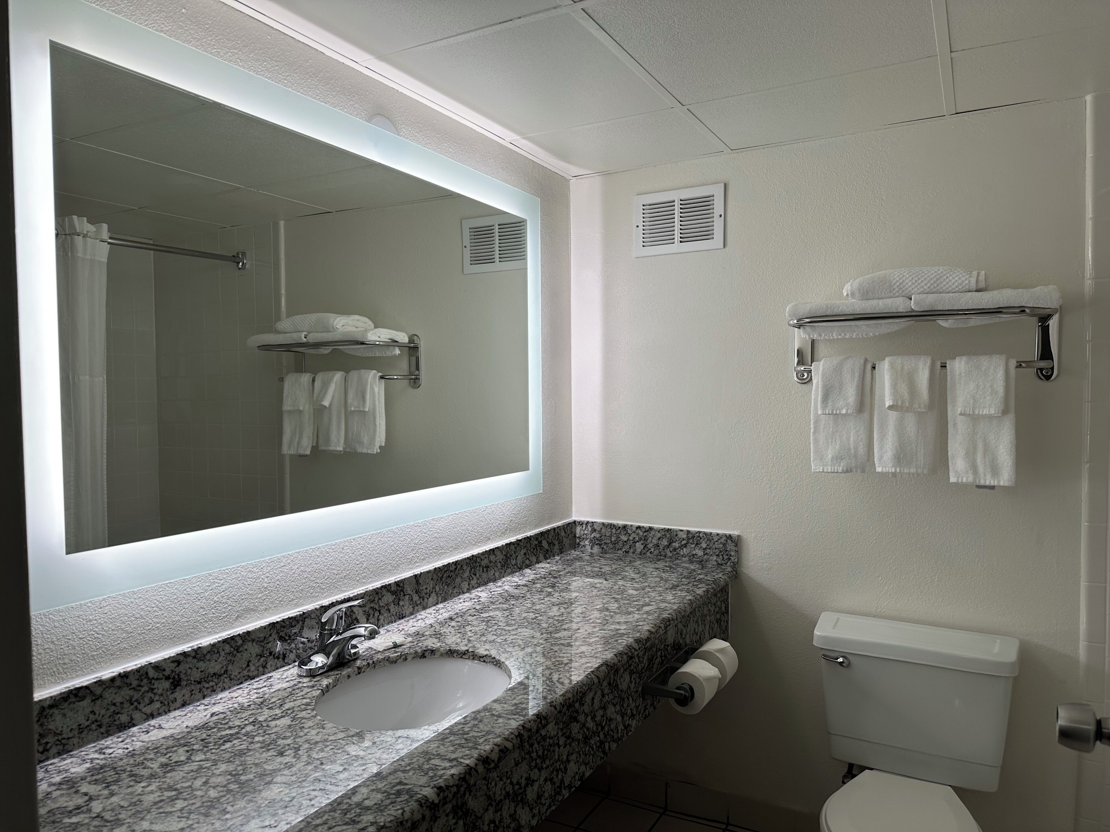 A bathroom with a marble sink, a toilet, a large mirror, and a towel rack.